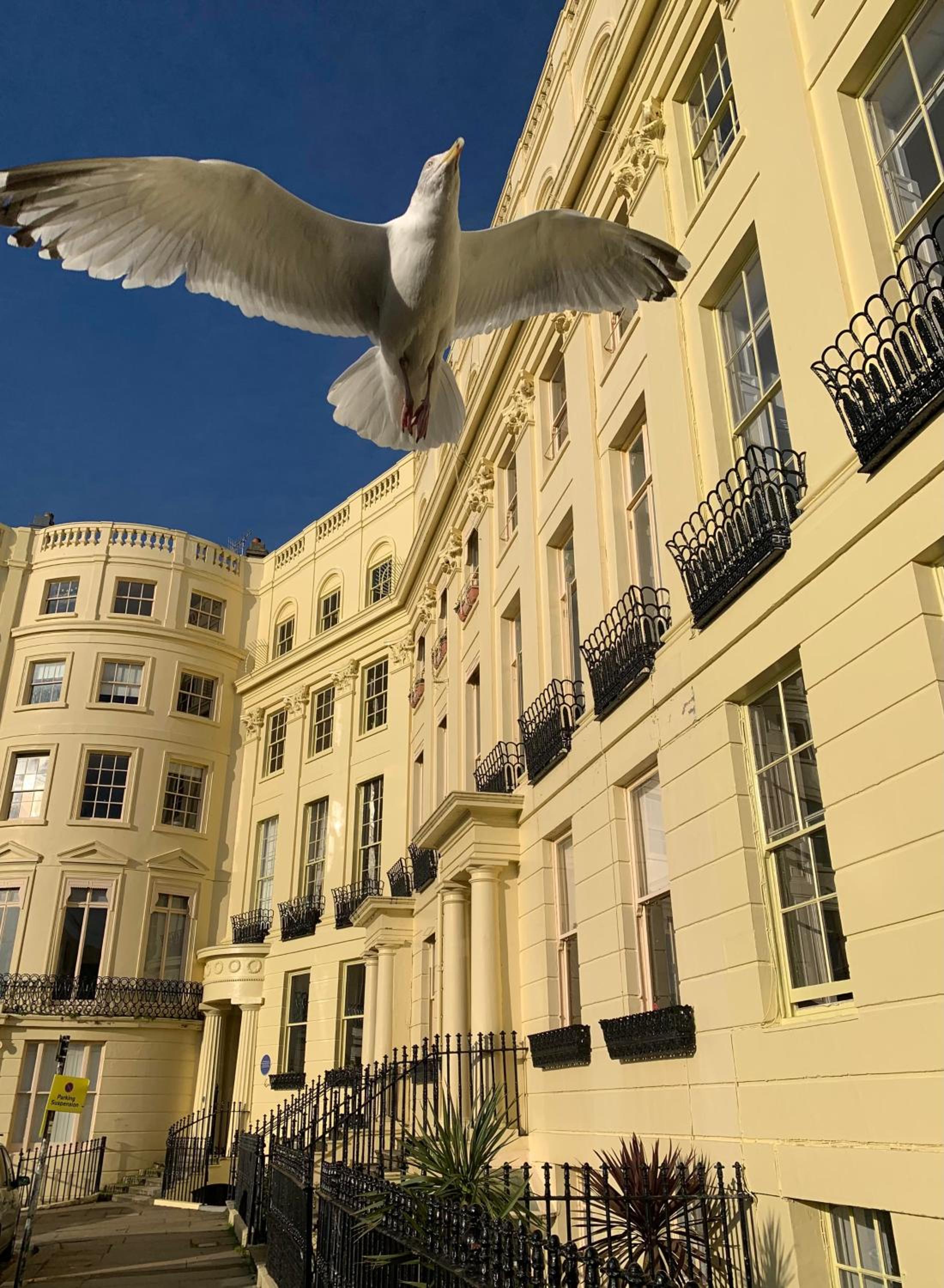 Lansdowne House Hove