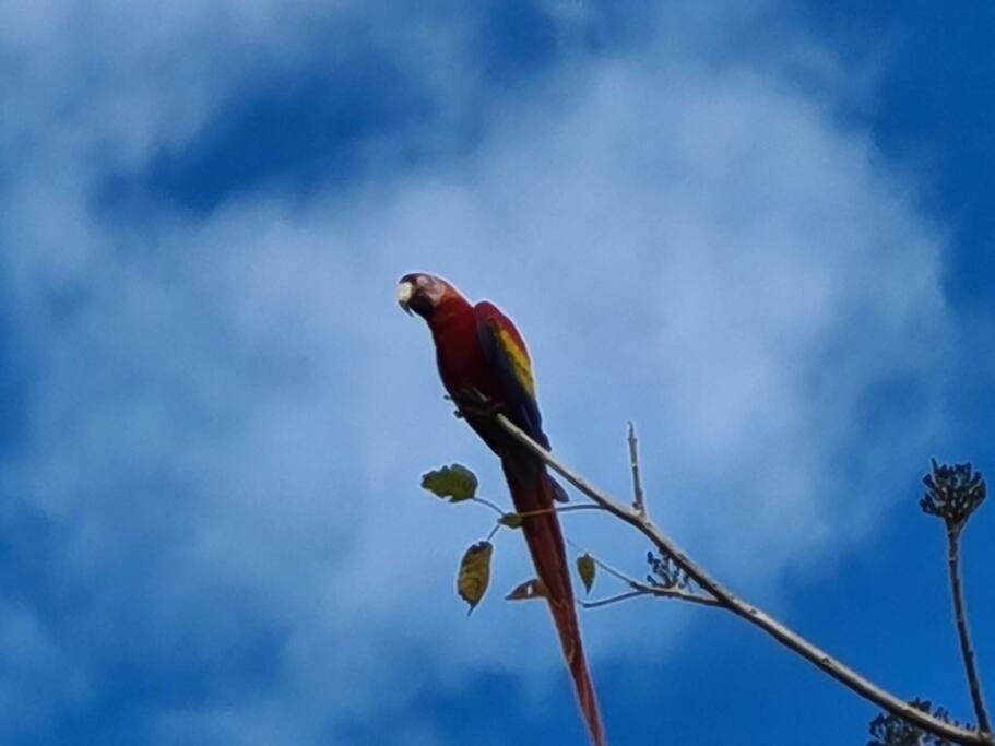 Casa de campo rodeada de naturaleza