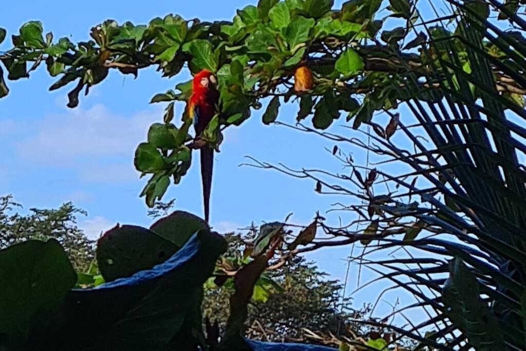 Casa de campo rodeada de naturaleza