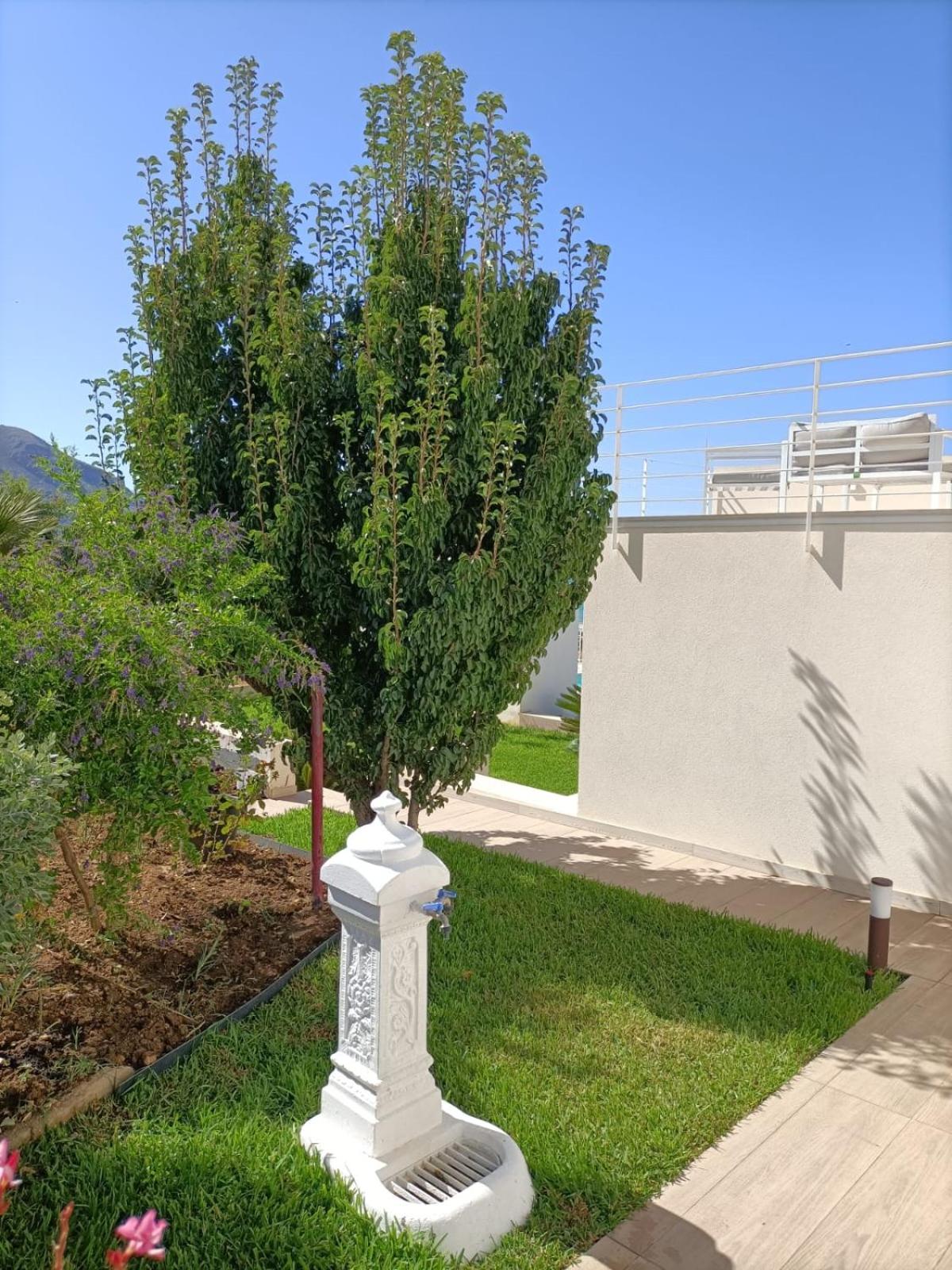 Photo 32