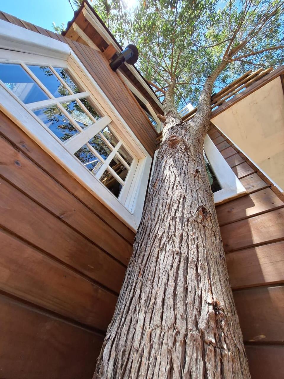 Casa na árvore perto da praia