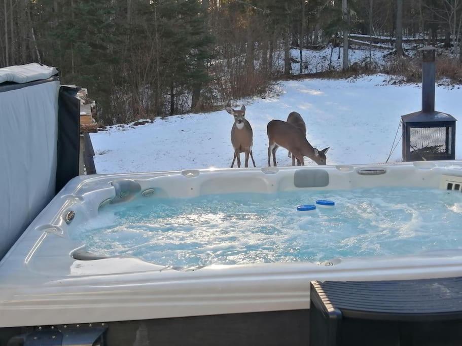 Domaine d'exception, bord de rivière, plage privée, spacieux chalet pour grande famille ou entre amis - activités, spa 10 places