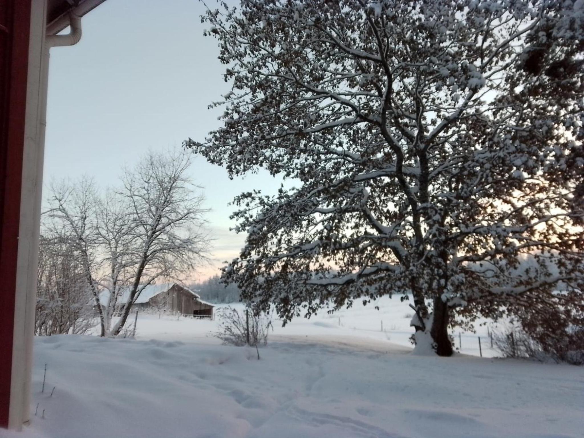Urlaub mit Hund Bauernhof in Alleinlage in Finnland