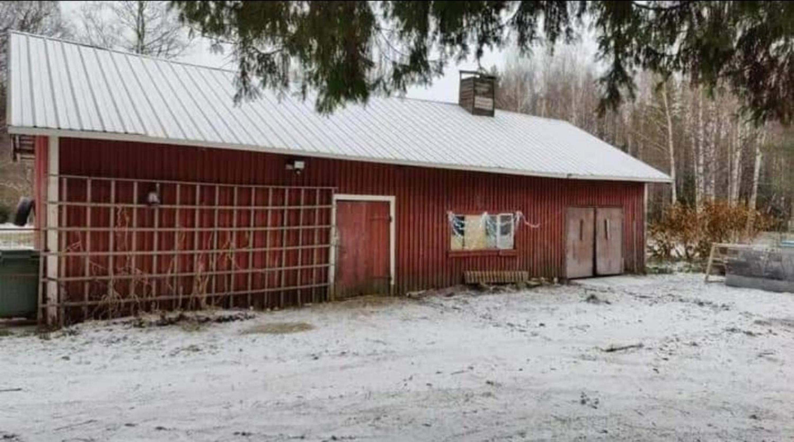 Urlaub mit Hund Bauernhof in Alleinlage in Finnland