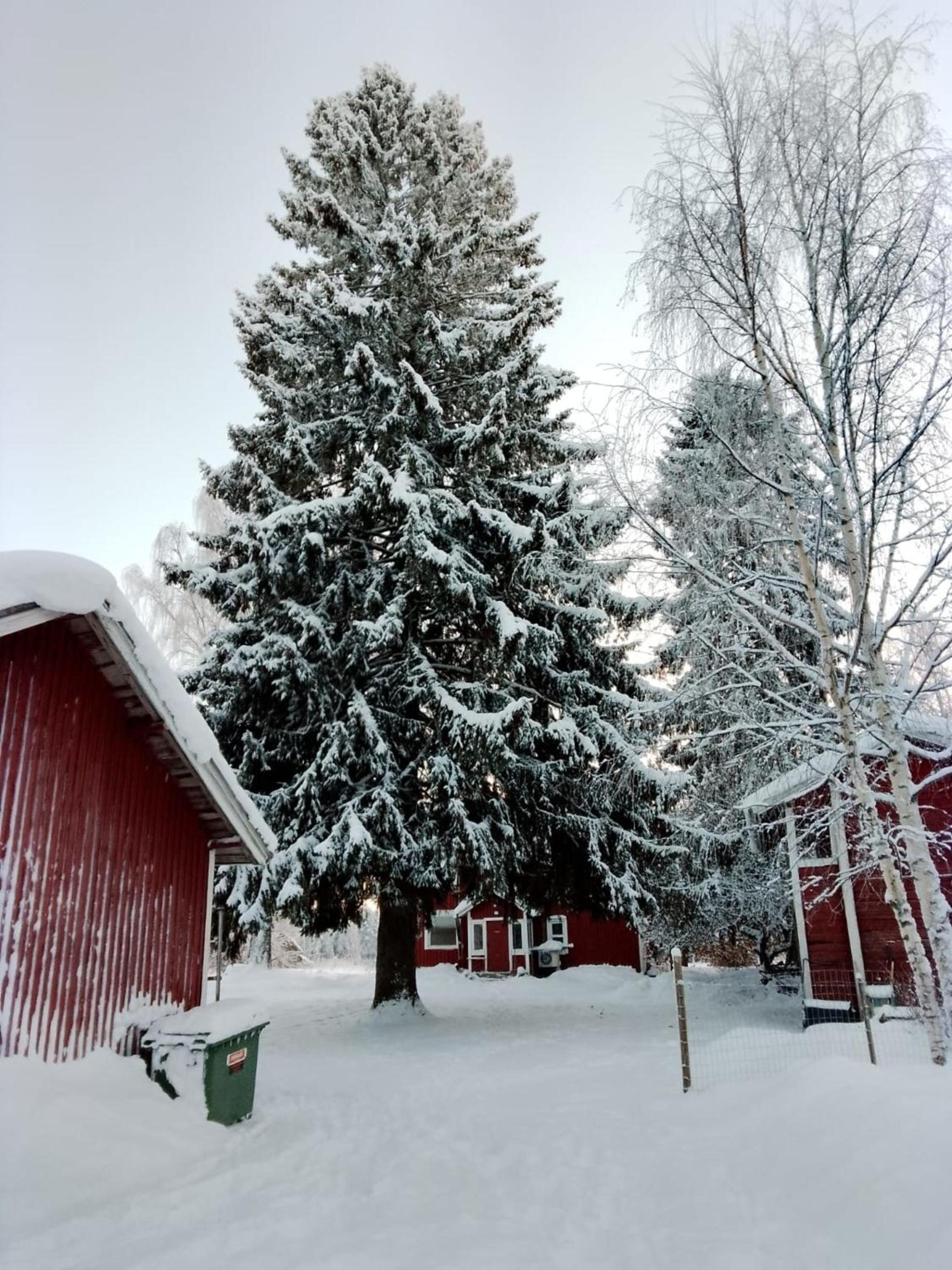 Urlaub mit Hund Bauernhof in Alleinlage in Finnland