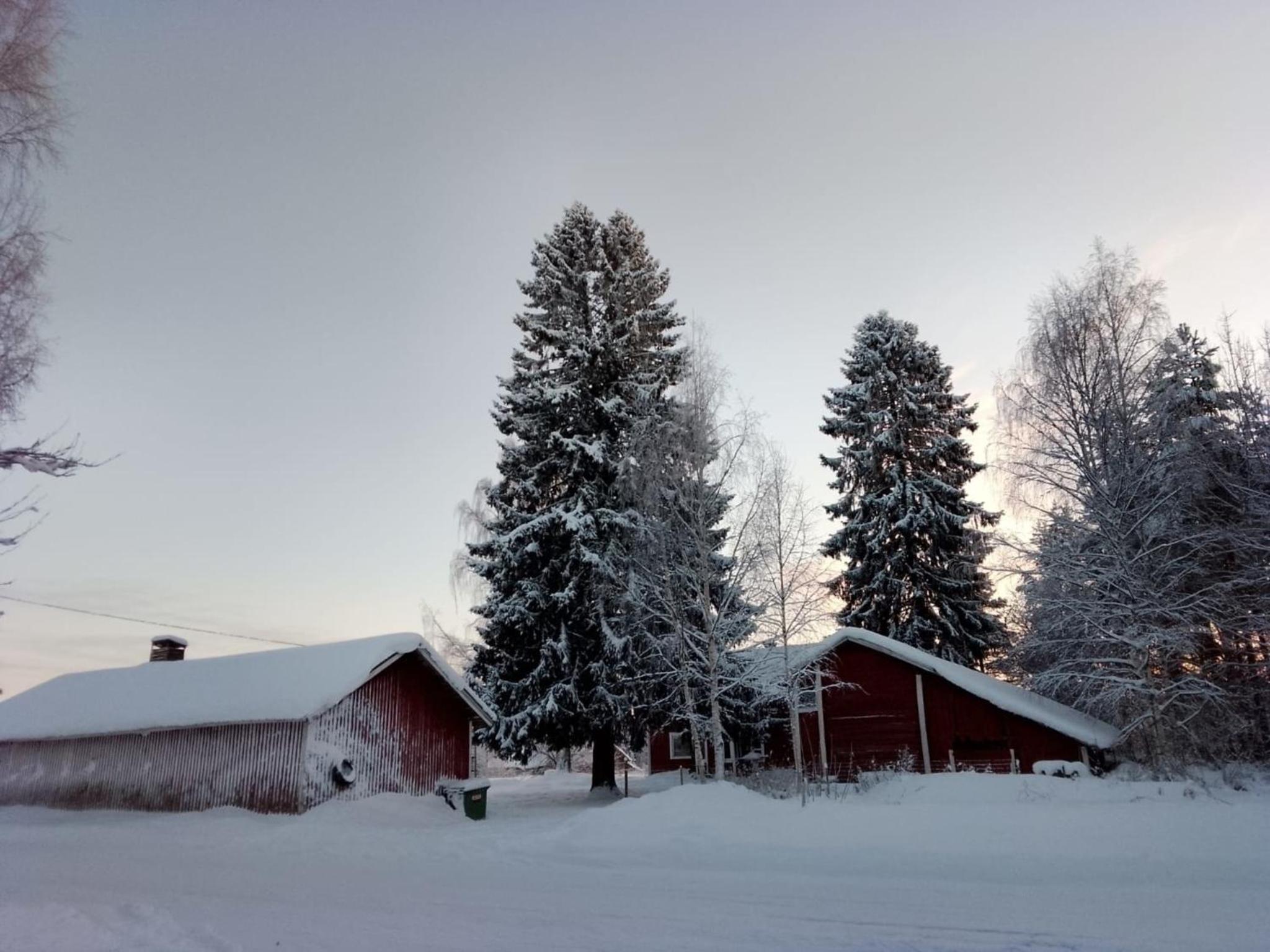 Urlaub mit Hund Bauernhof in Alleinlage in Finnland