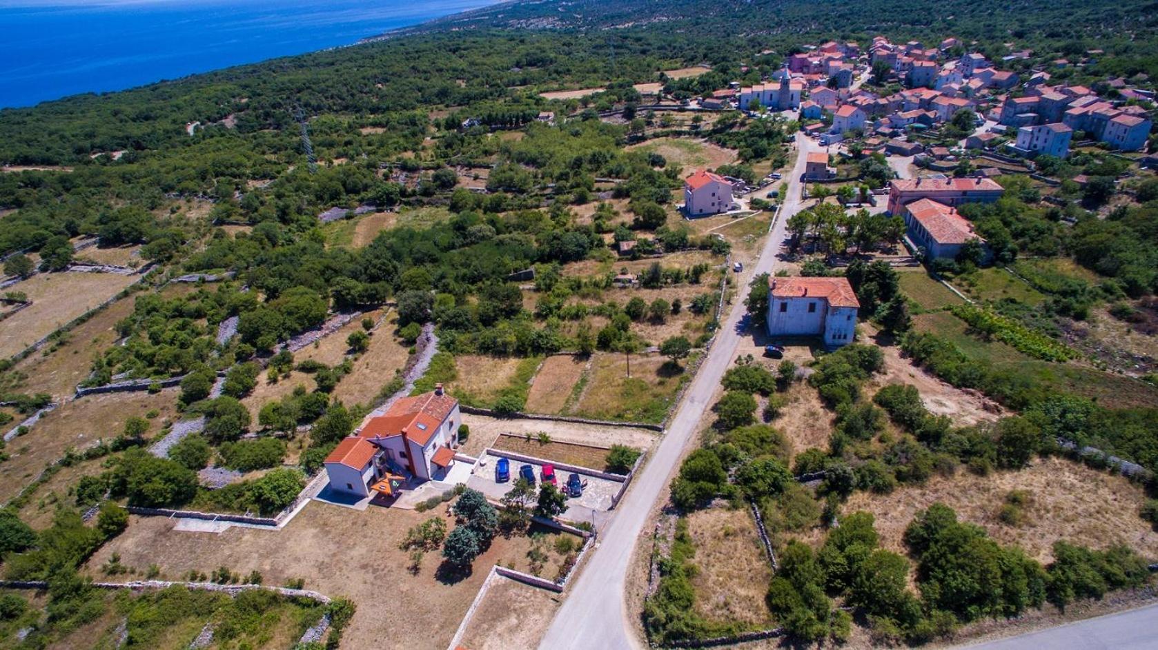 Apartments Dandić