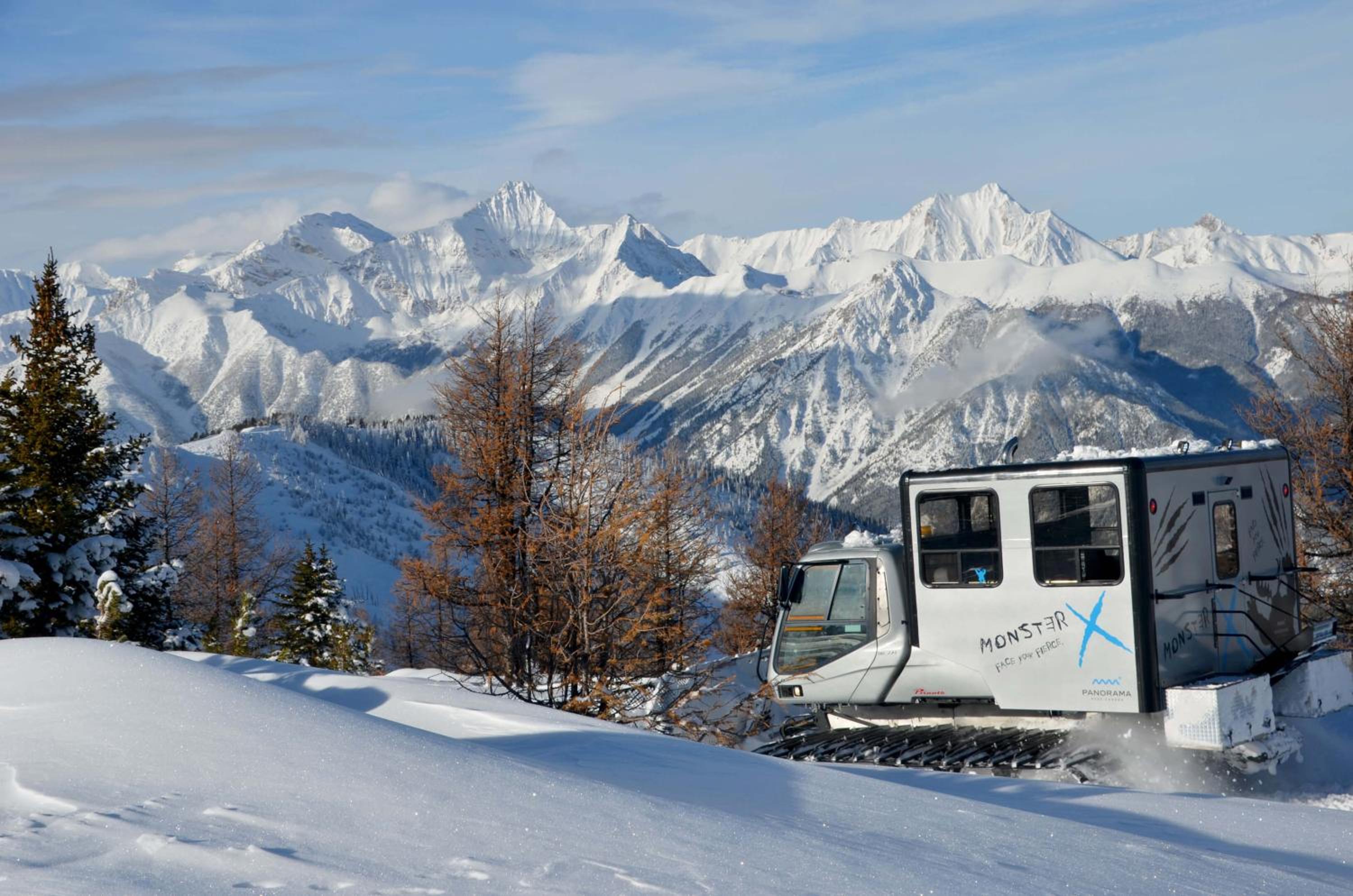 Ski In Ski Out Private Hot Tub