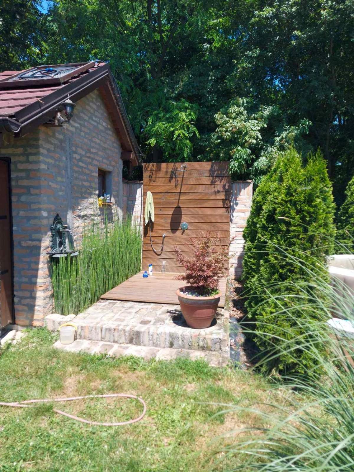Kuca na Savi - Stari hrast view 4