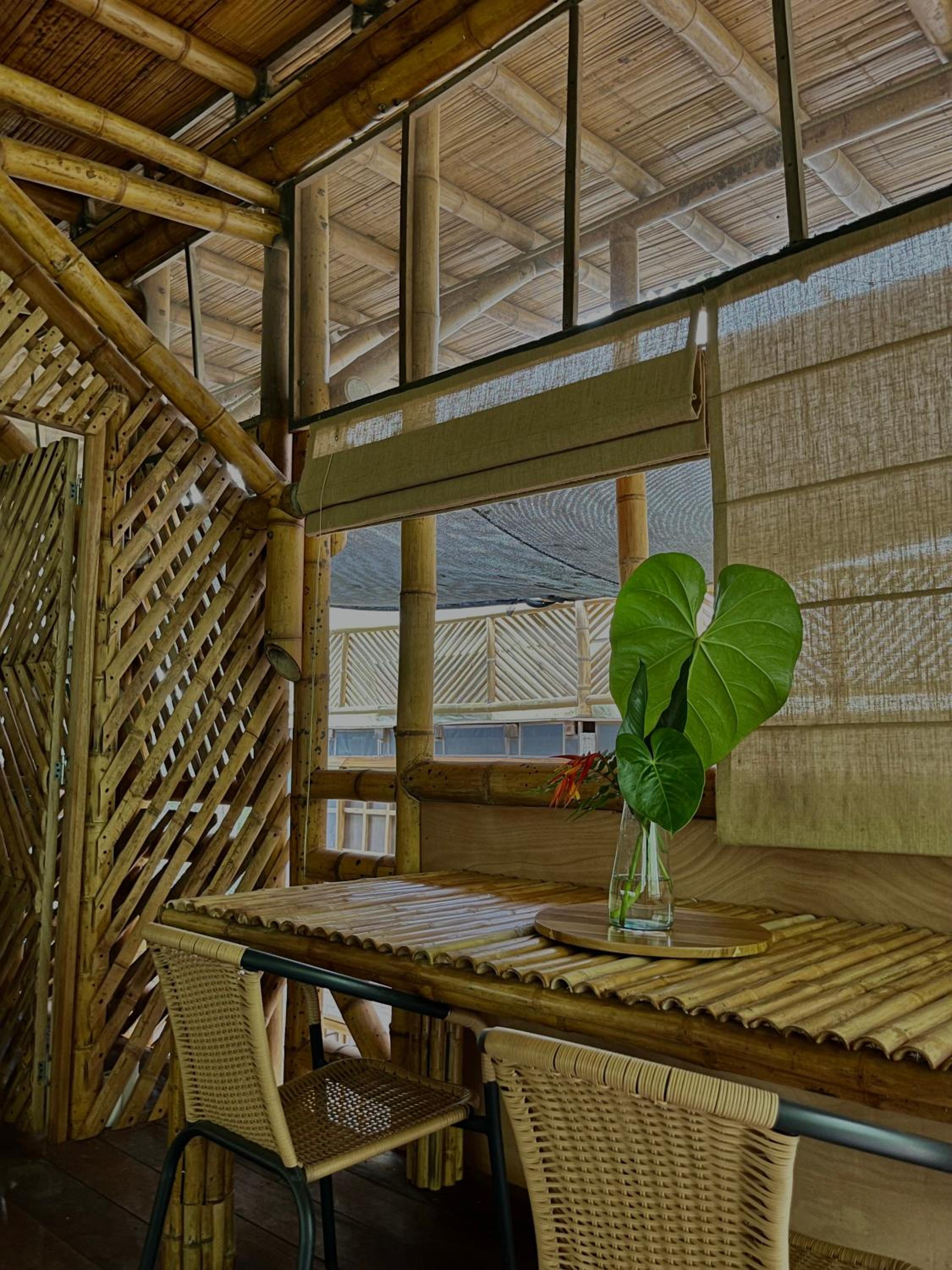 Oasis Santuario de Naturaleza