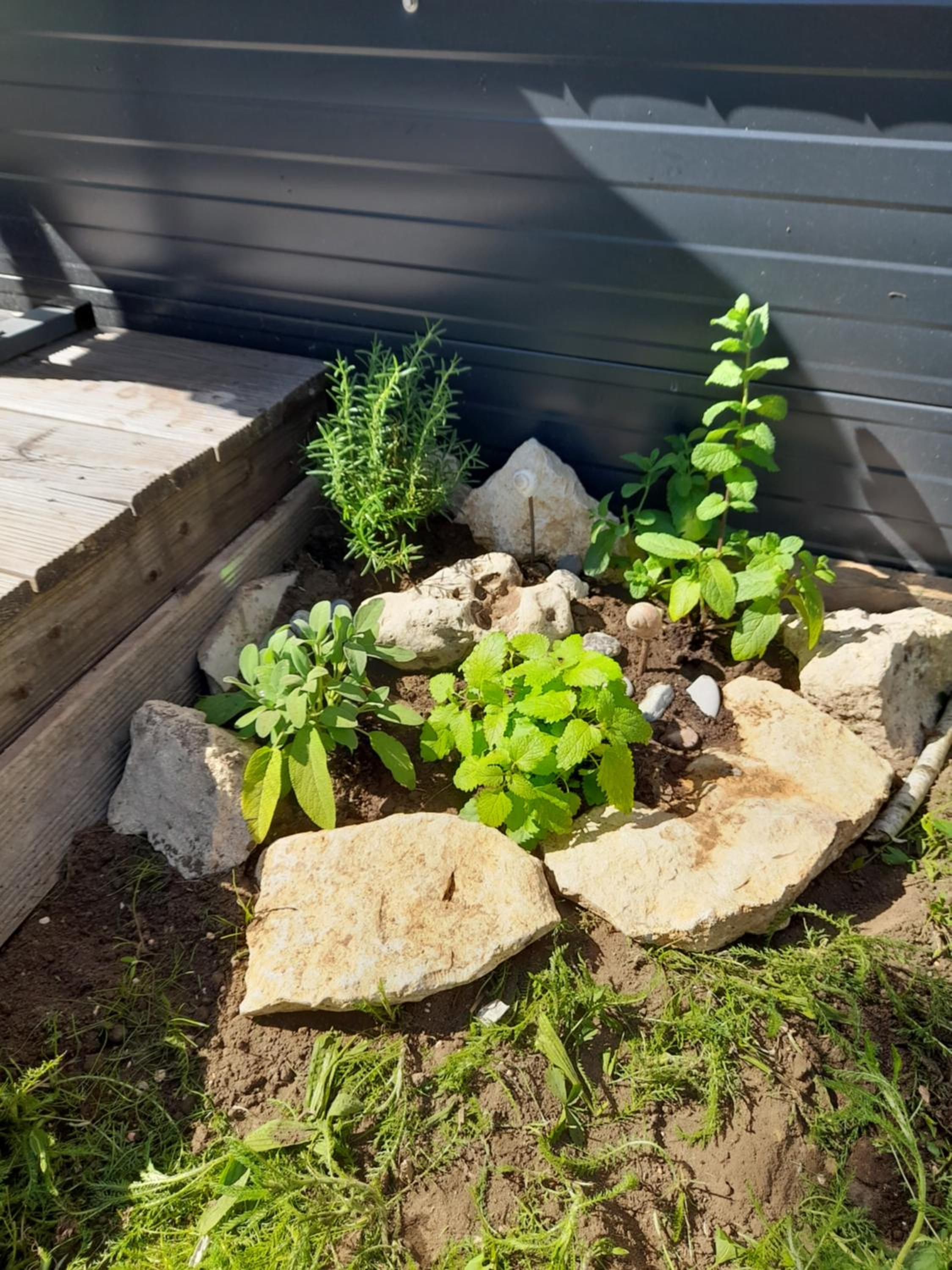 Tinyhouse Wemding en Wemding — other
