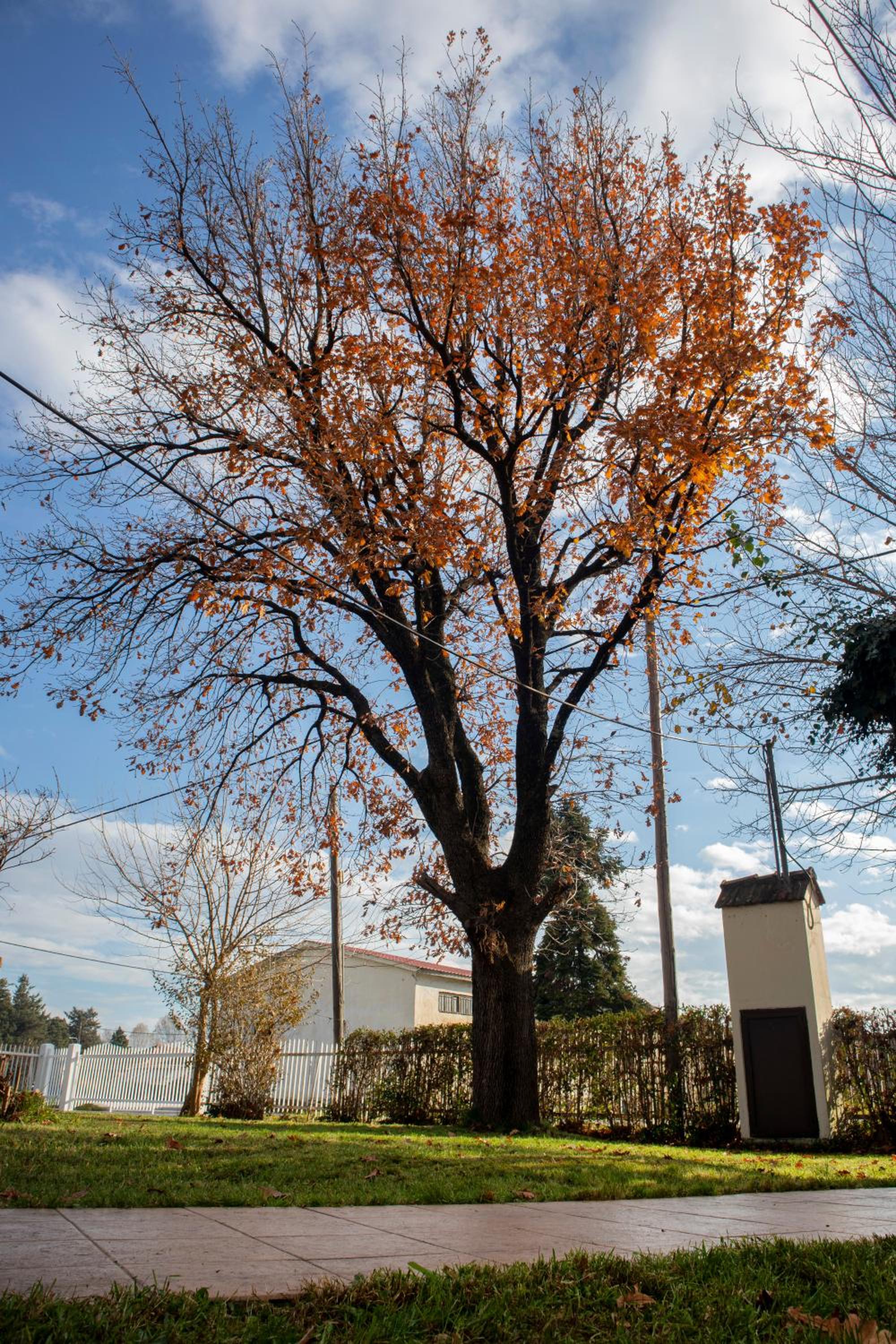 Photo 26