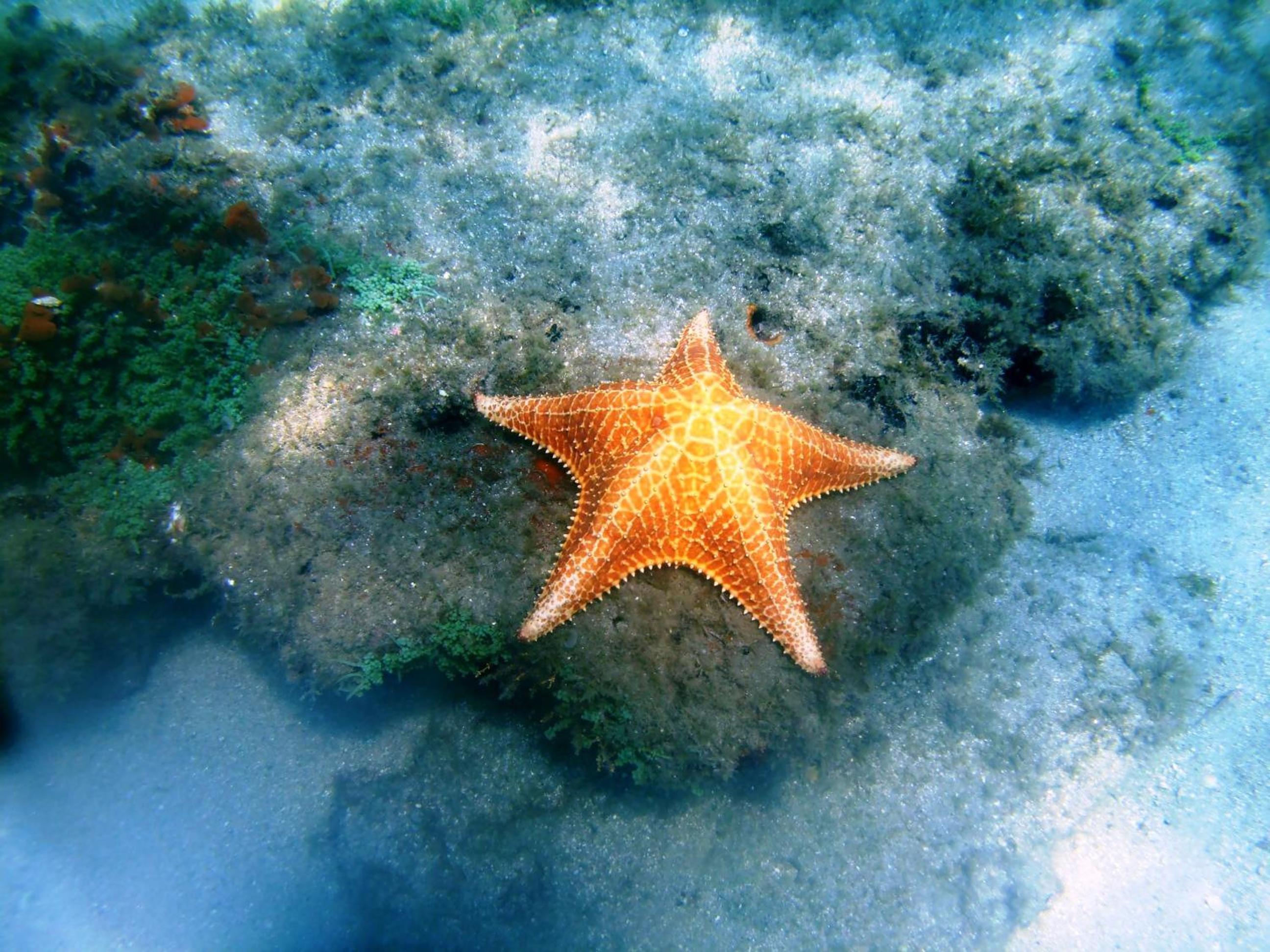 Suítes Cantinho da Pedra