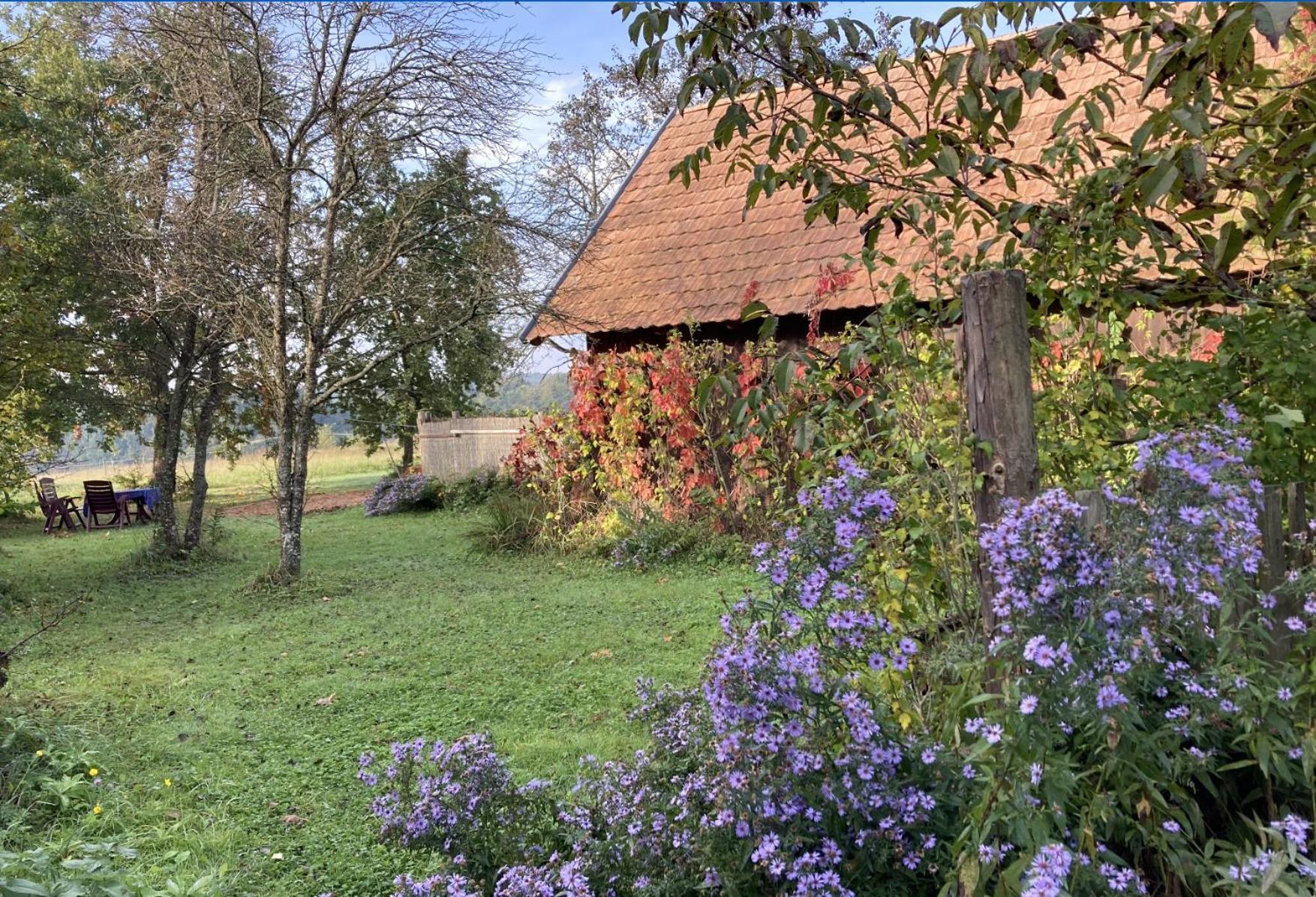 Photo 29