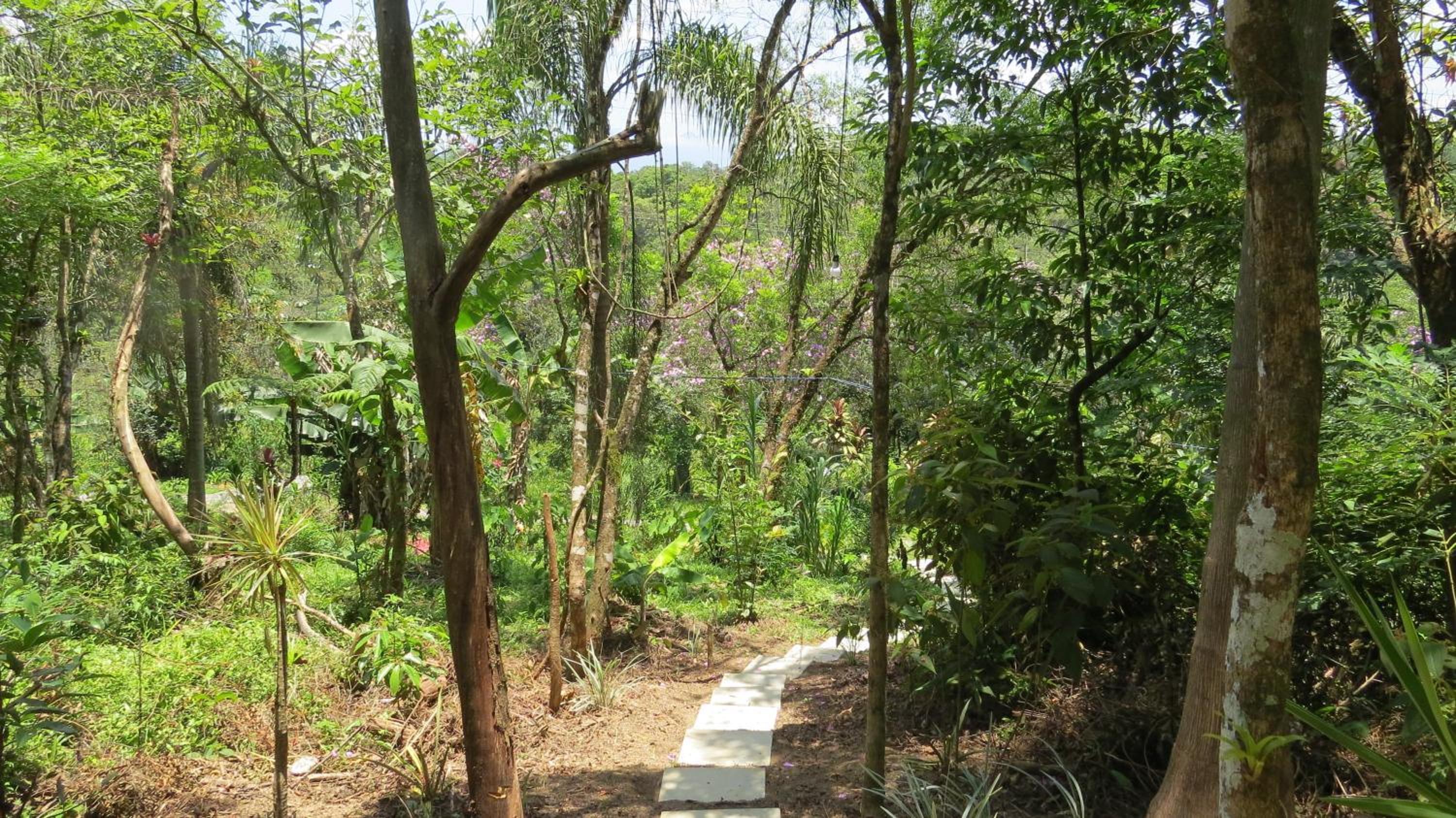 Cabanas sítio Ancestral