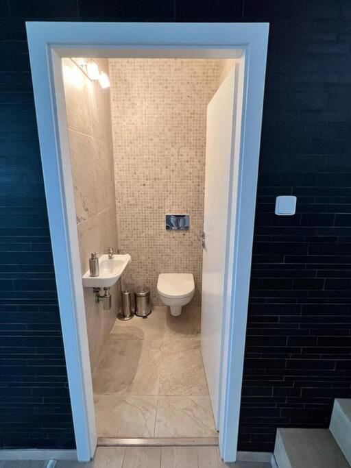 Great spacious villa near Prague