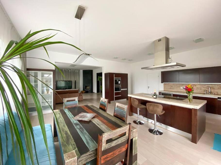 Great spacious villa near Prague