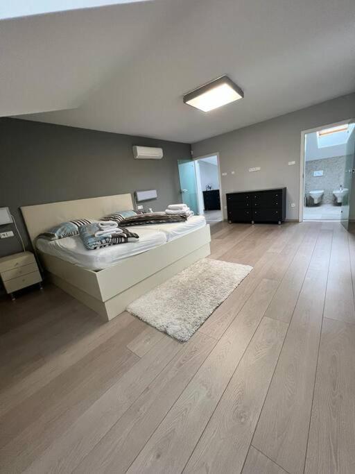Great spacious villa near Prague