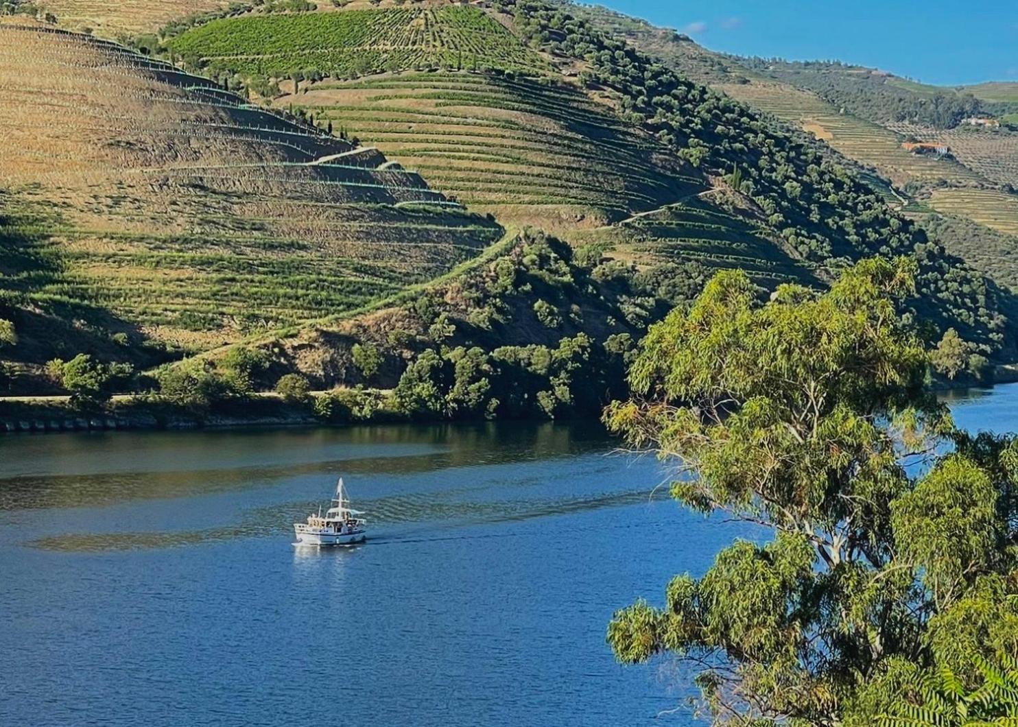 Quinta do Tedo, Bild 37