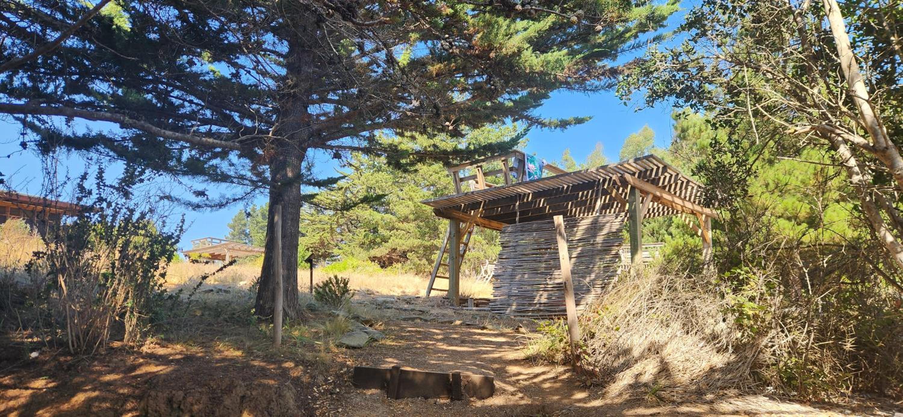 Olas de Chile Ecocamp