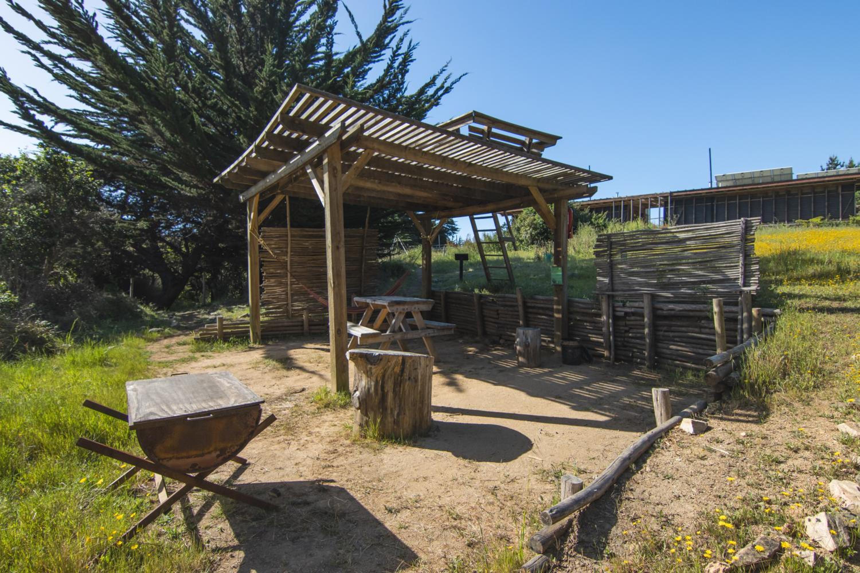 Olas de Chile Ecocamp