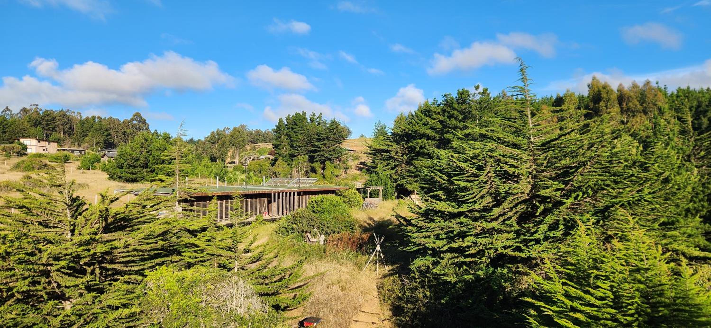 Olas de Chile Ecocamp