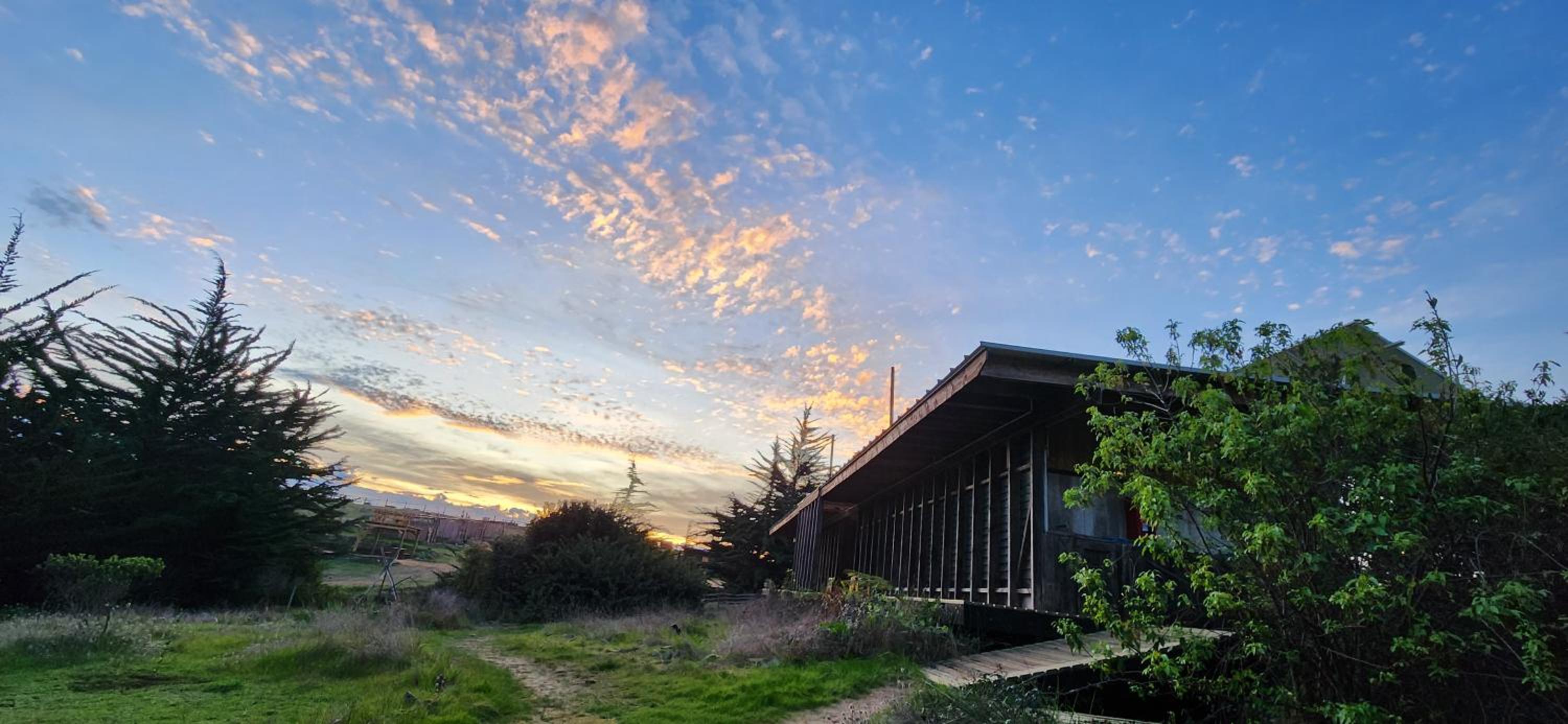 Olas de Chile Ecocamp
