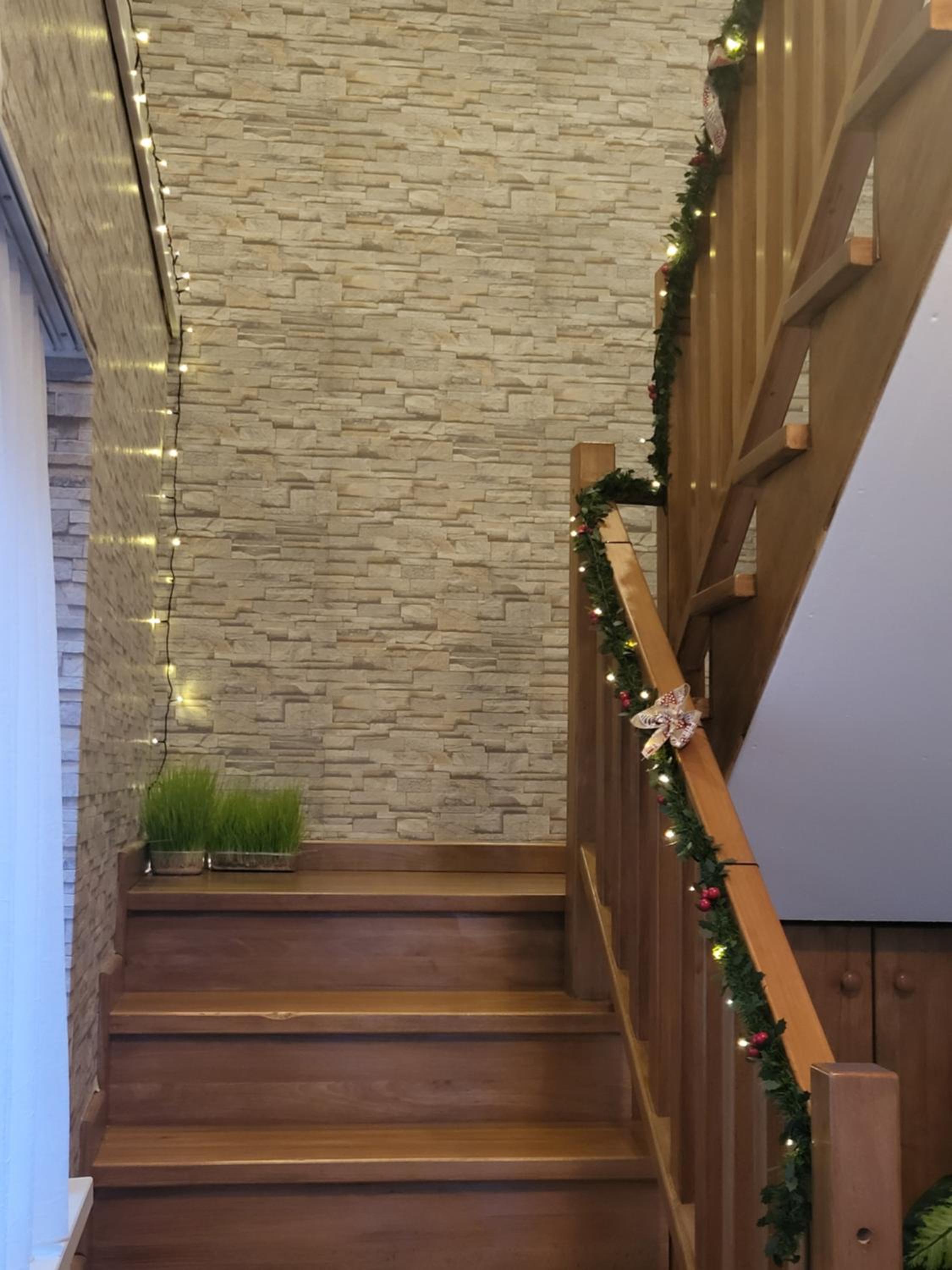 Apartman Medved