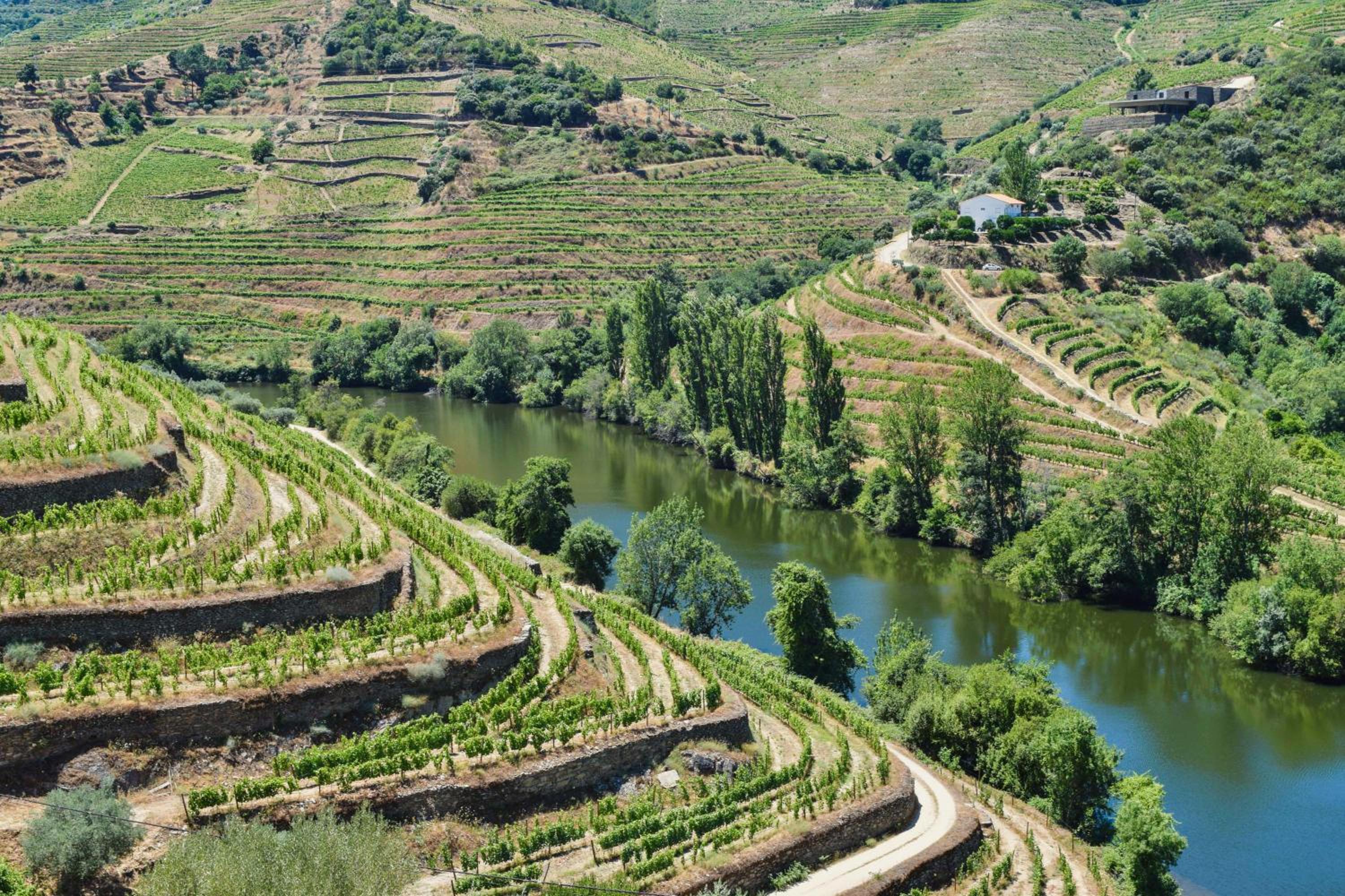 Quinta do Tedo