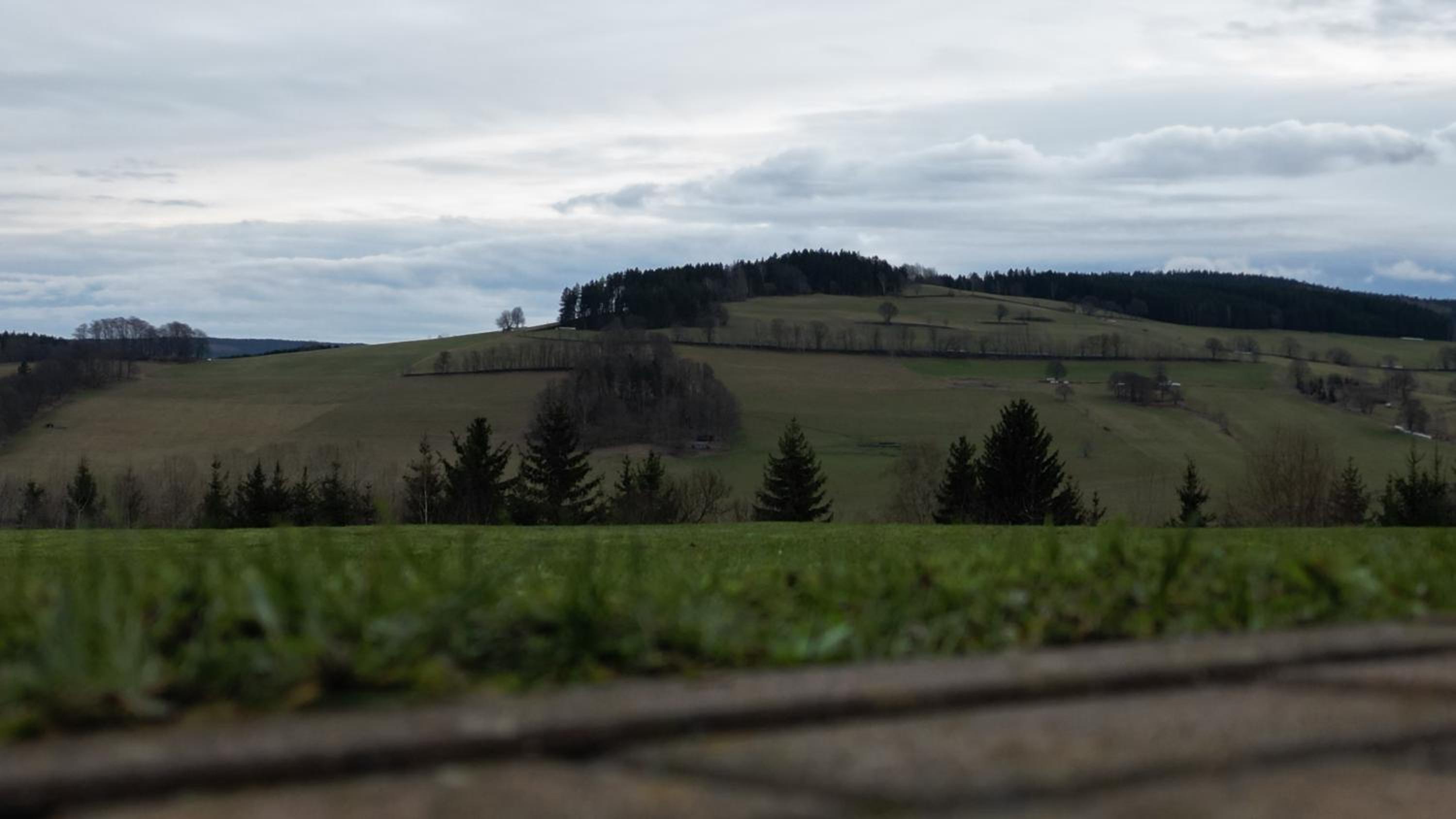 Pension Berghof