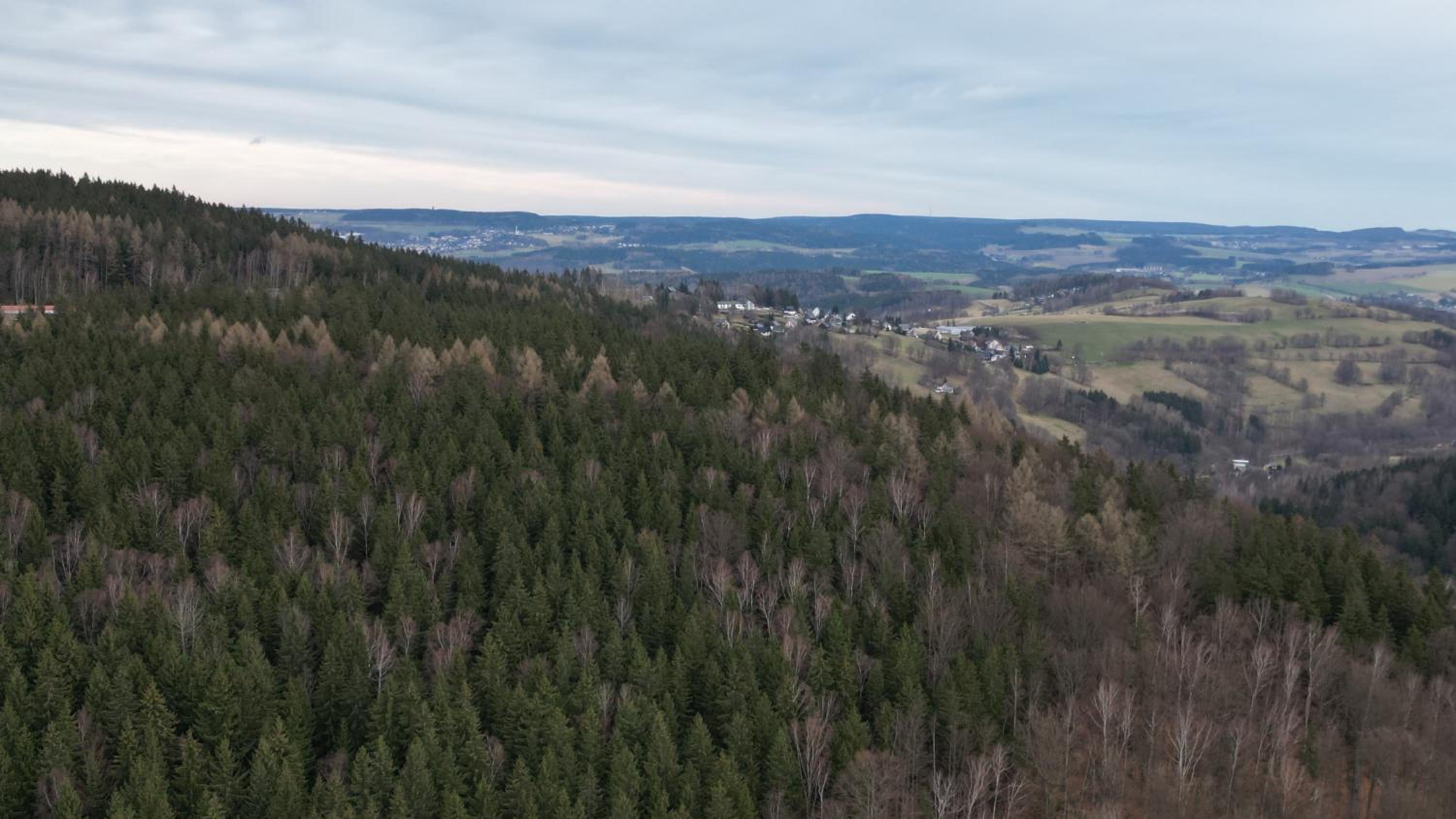 Pension Berghof