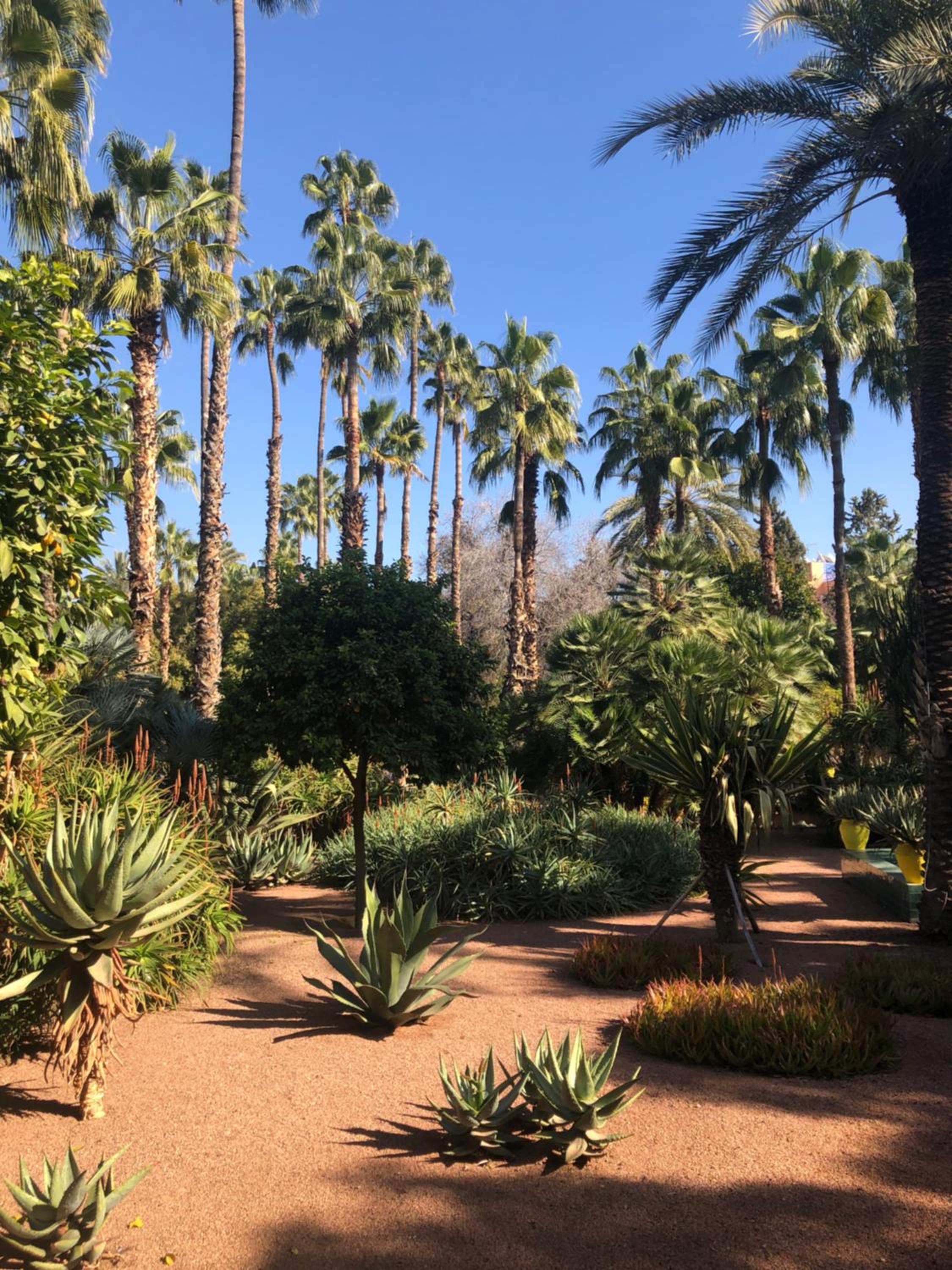Appartement paisible et abordable Palmeraie Marrakech