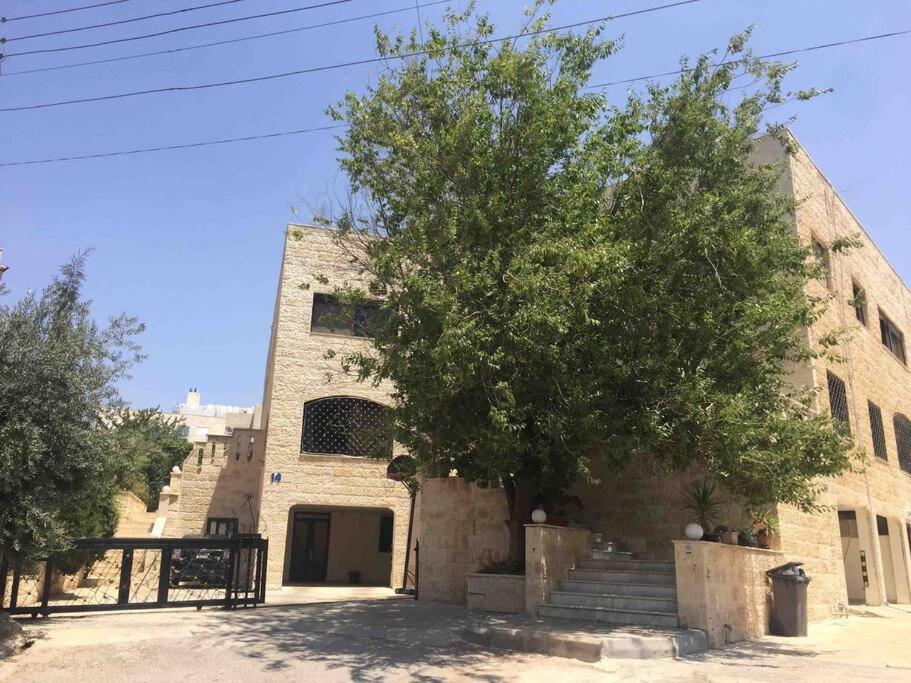 ‘C’ DAZZLING MODERN 2 BDRM APT IN KHALDA Free WIFI view 4