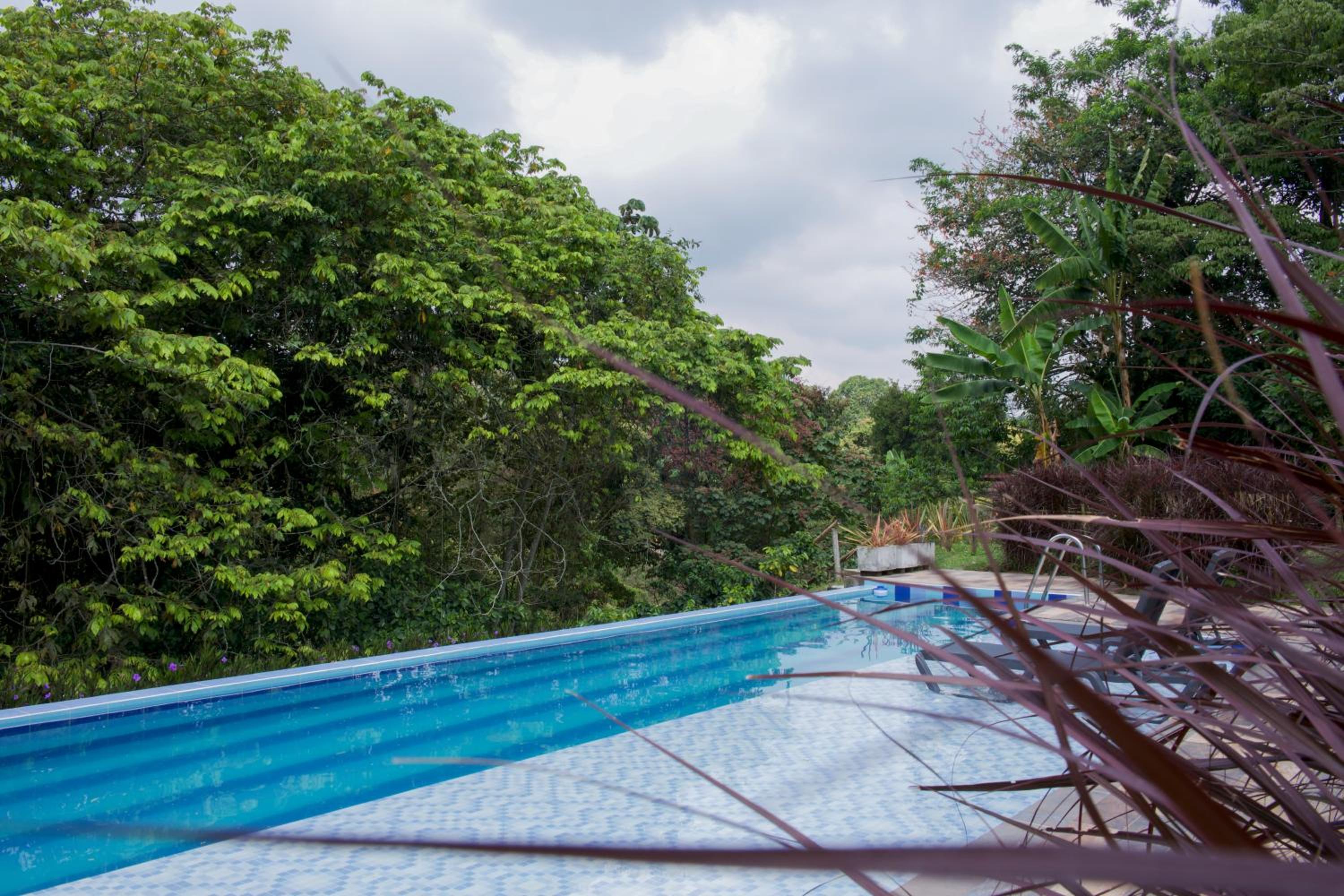 UKO Urbanekolodge