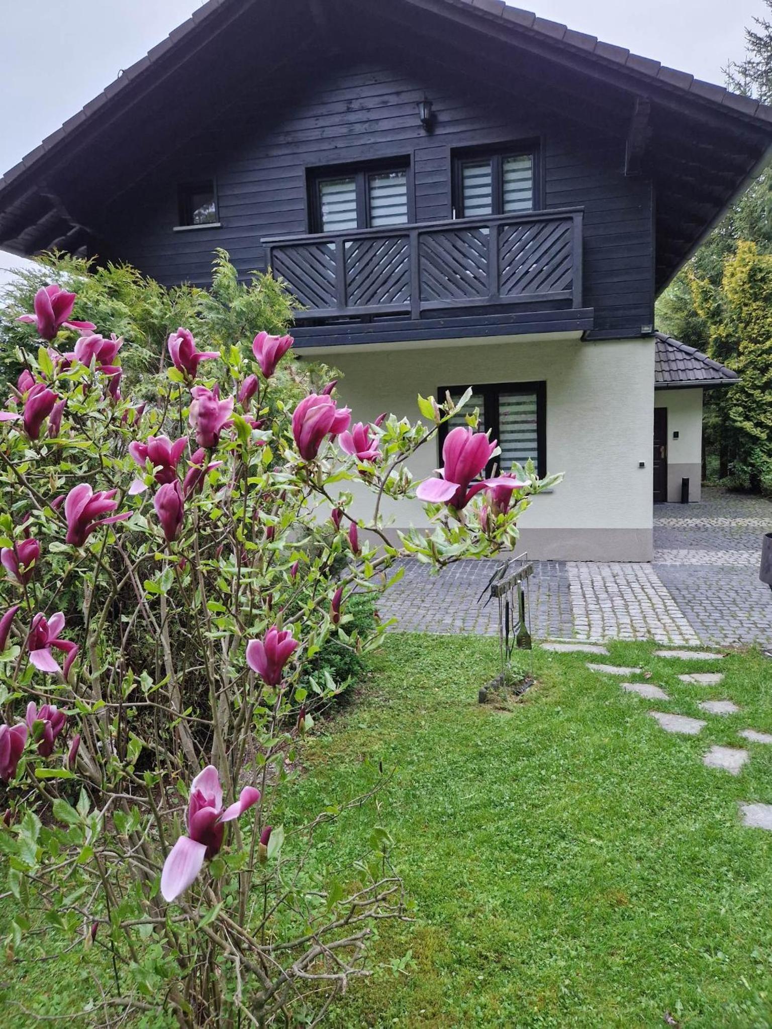 Villa Falsztyn view 2