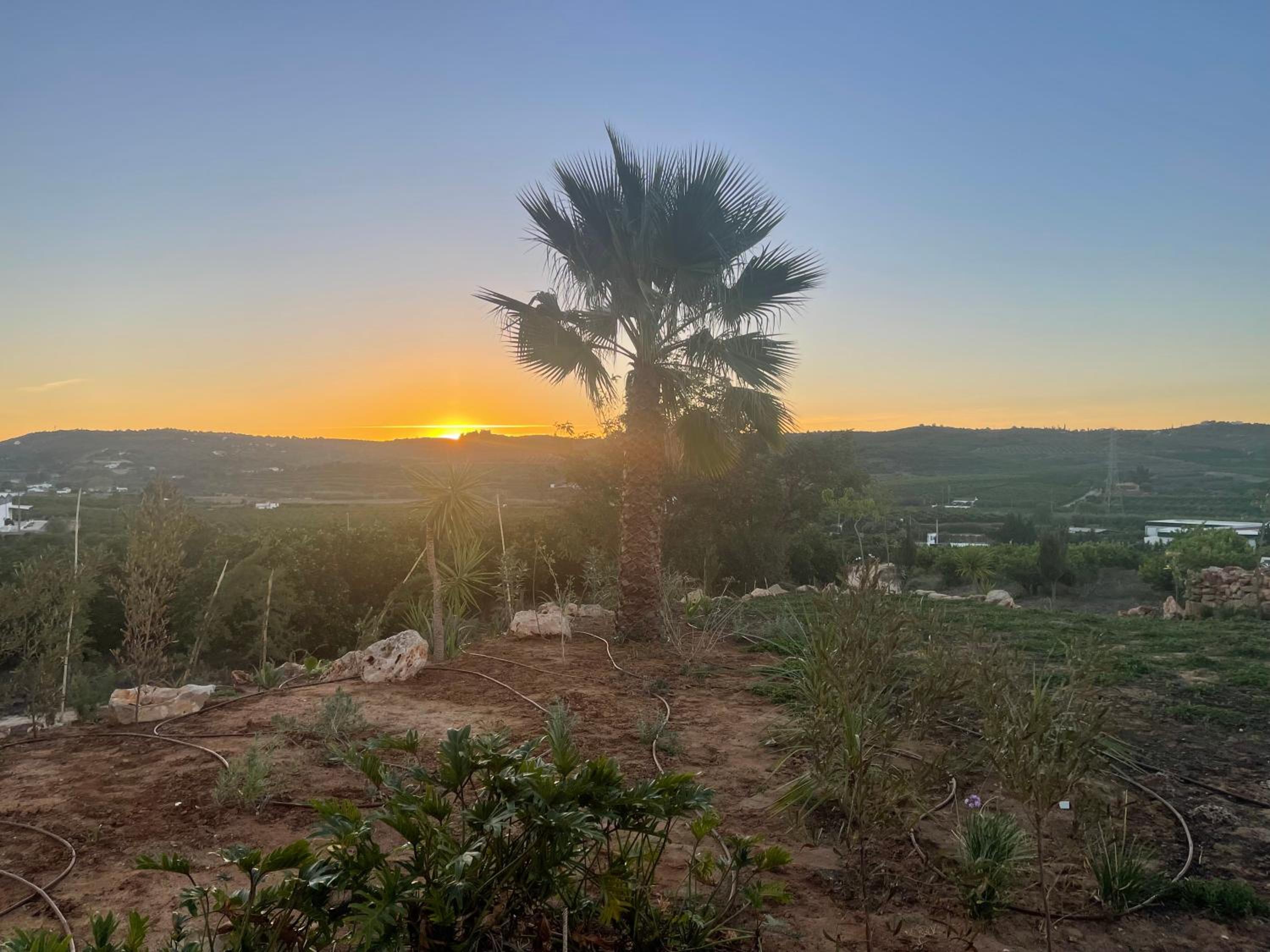 Orange Grove Residence view 2