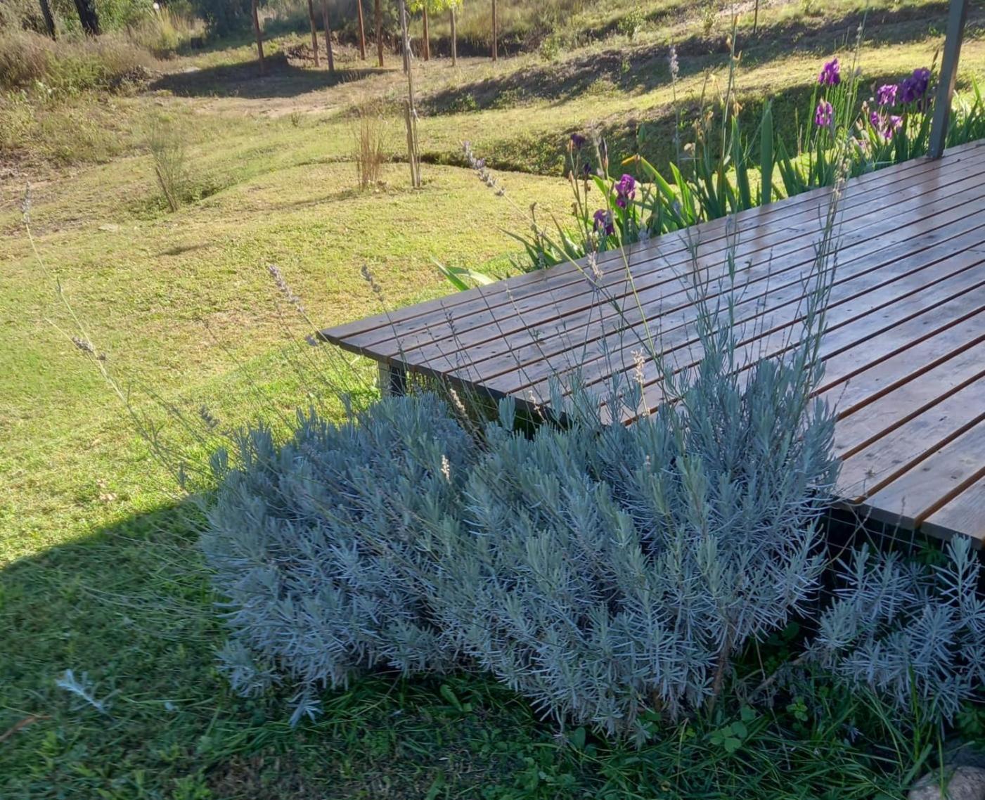 casa.conteiner.alpacorral