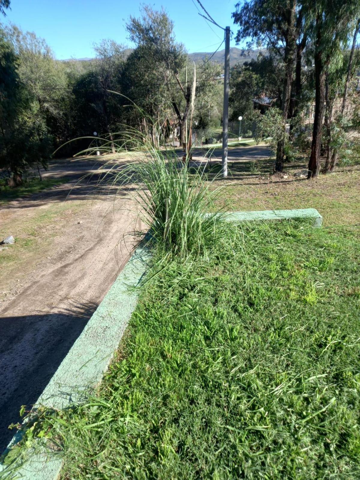casa.conteiner.alpacorral