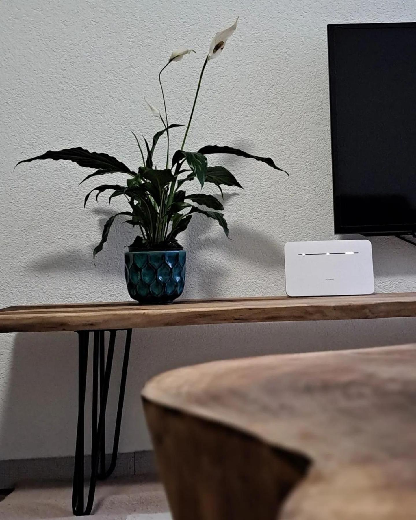 Apartman Maximus