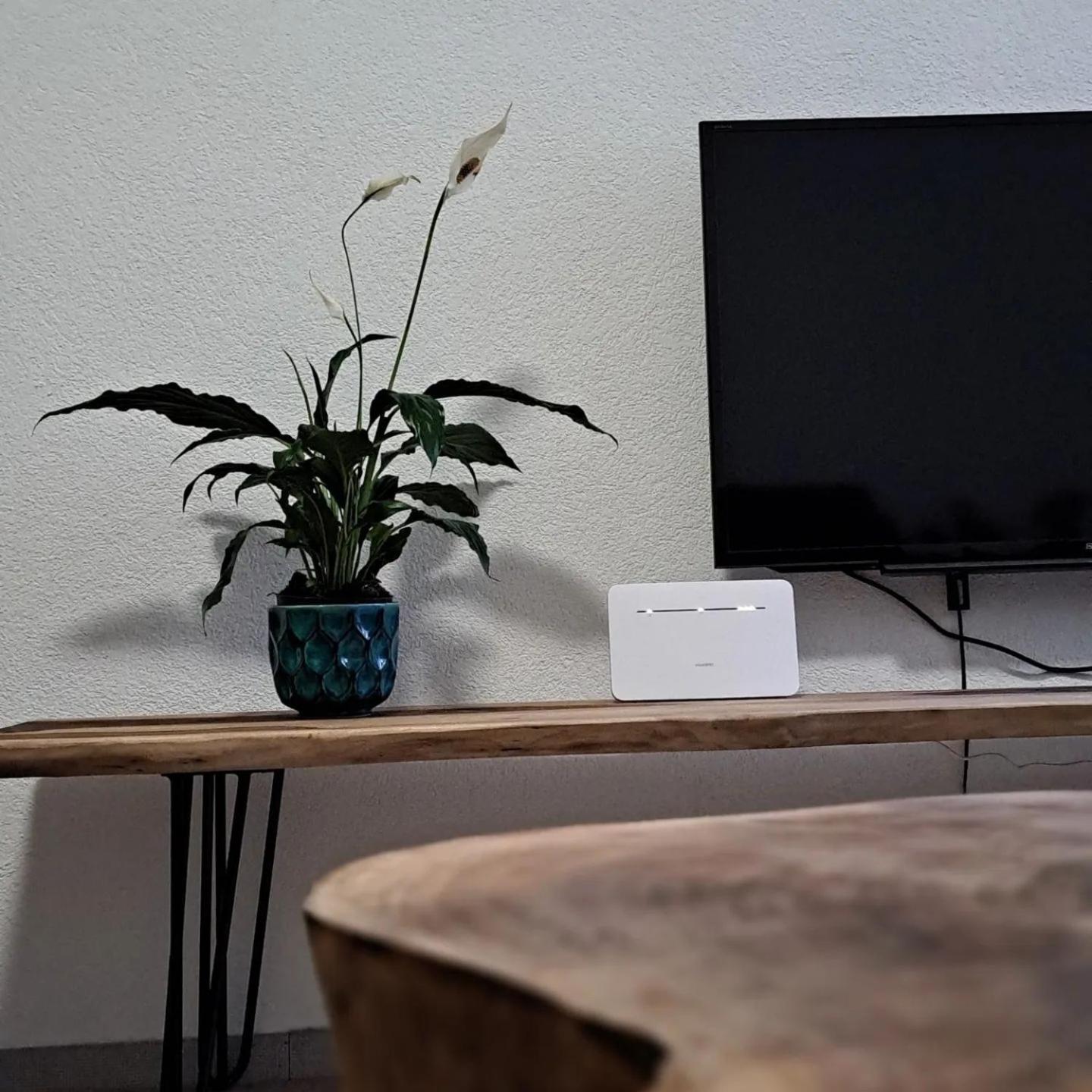 Apartman Maximus