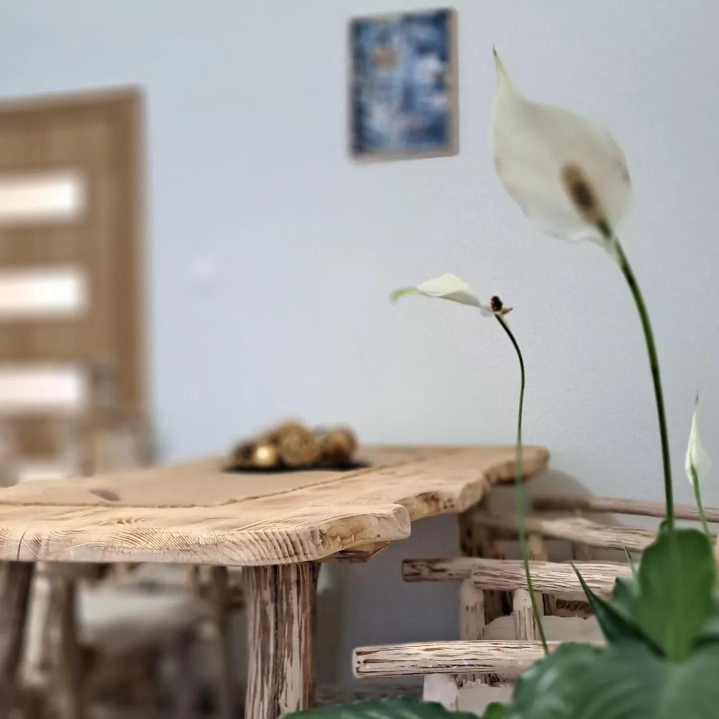Apartman Maximus