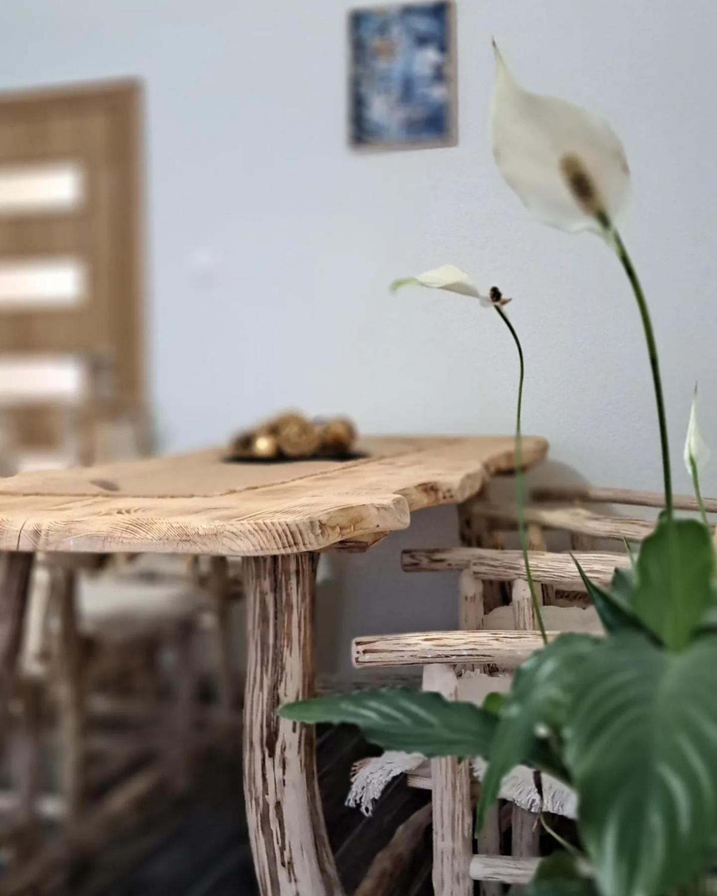 Apartman Maximus