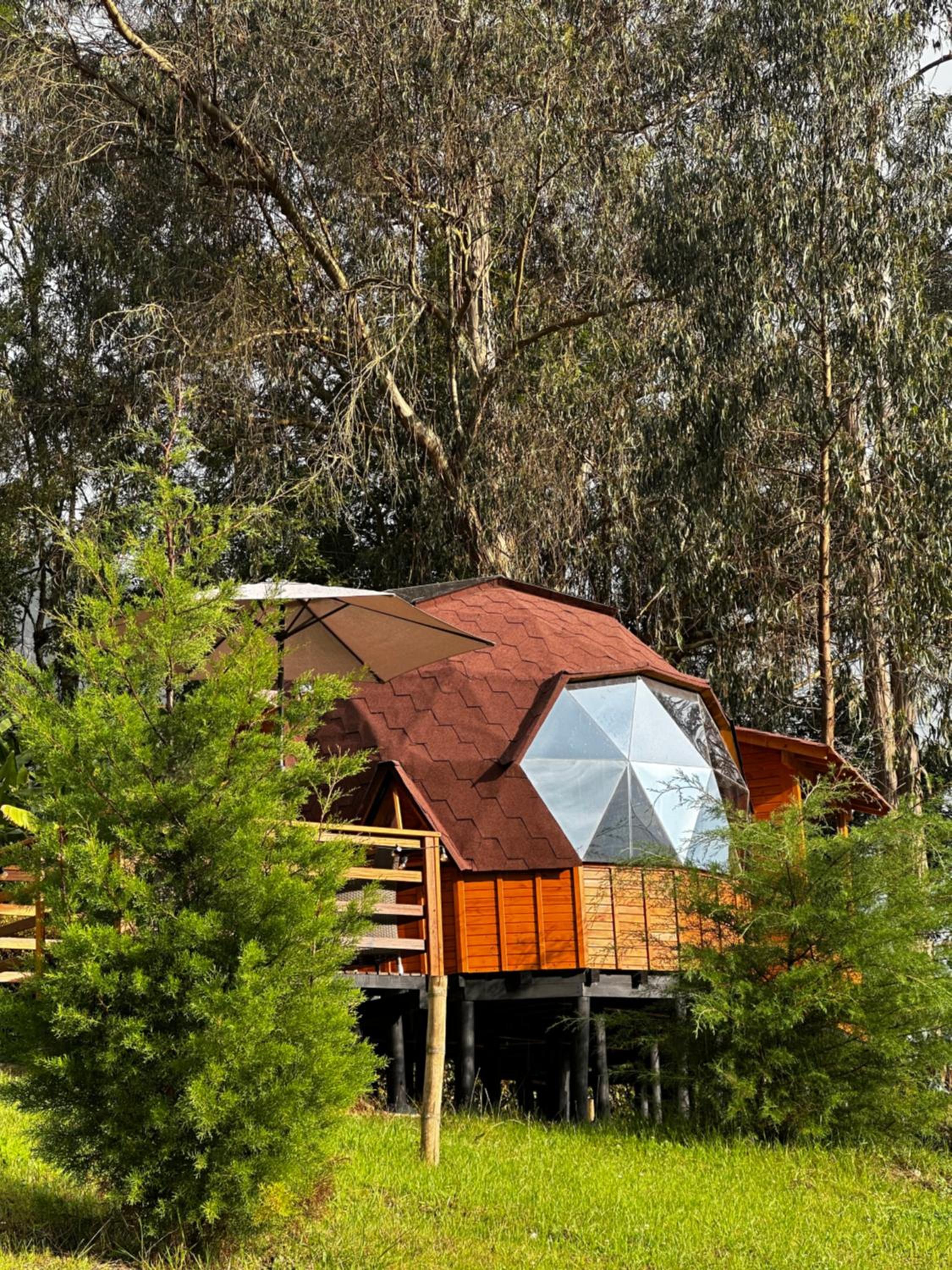 Hotel Glamping Shalom
