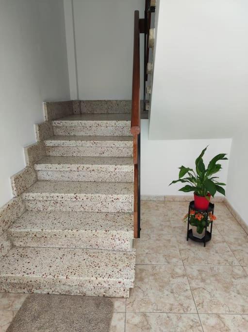 Carmen's house