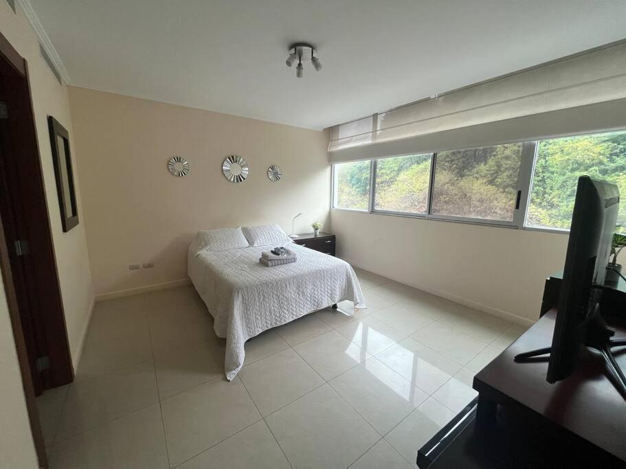 Suite en Puerto Santa Ana!