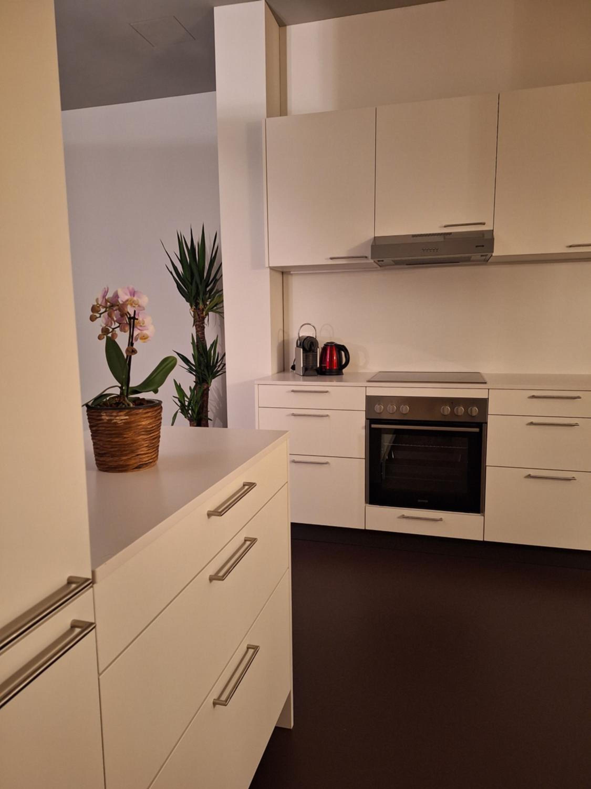 Stilvolles Loft in Kreuzlingen