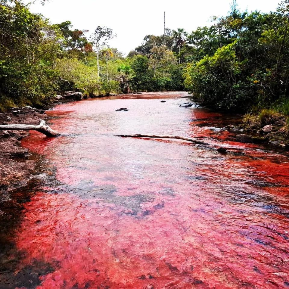 Hotel Ecologico Makalombia