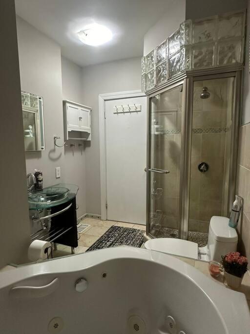 Spacious and Cozy- near T-station-Quiet Neighborhood! view 4