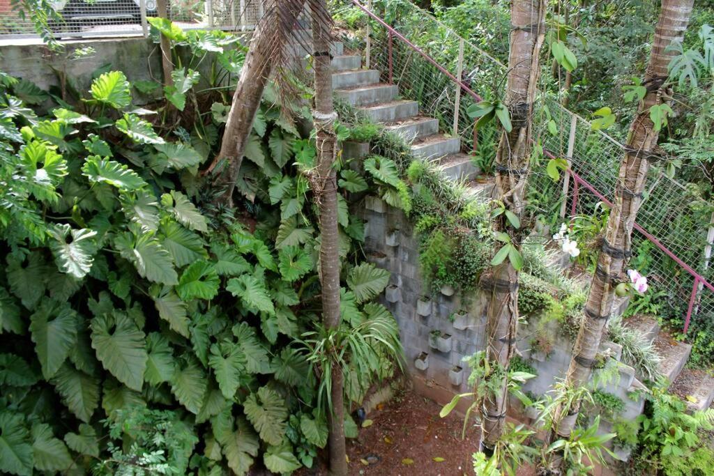 Sparadise a natureza em harmonia com tecnologia