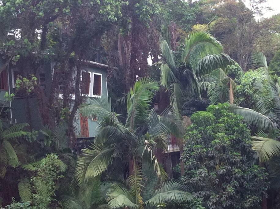 Sparadise a natureza em harmonia com tecnologia